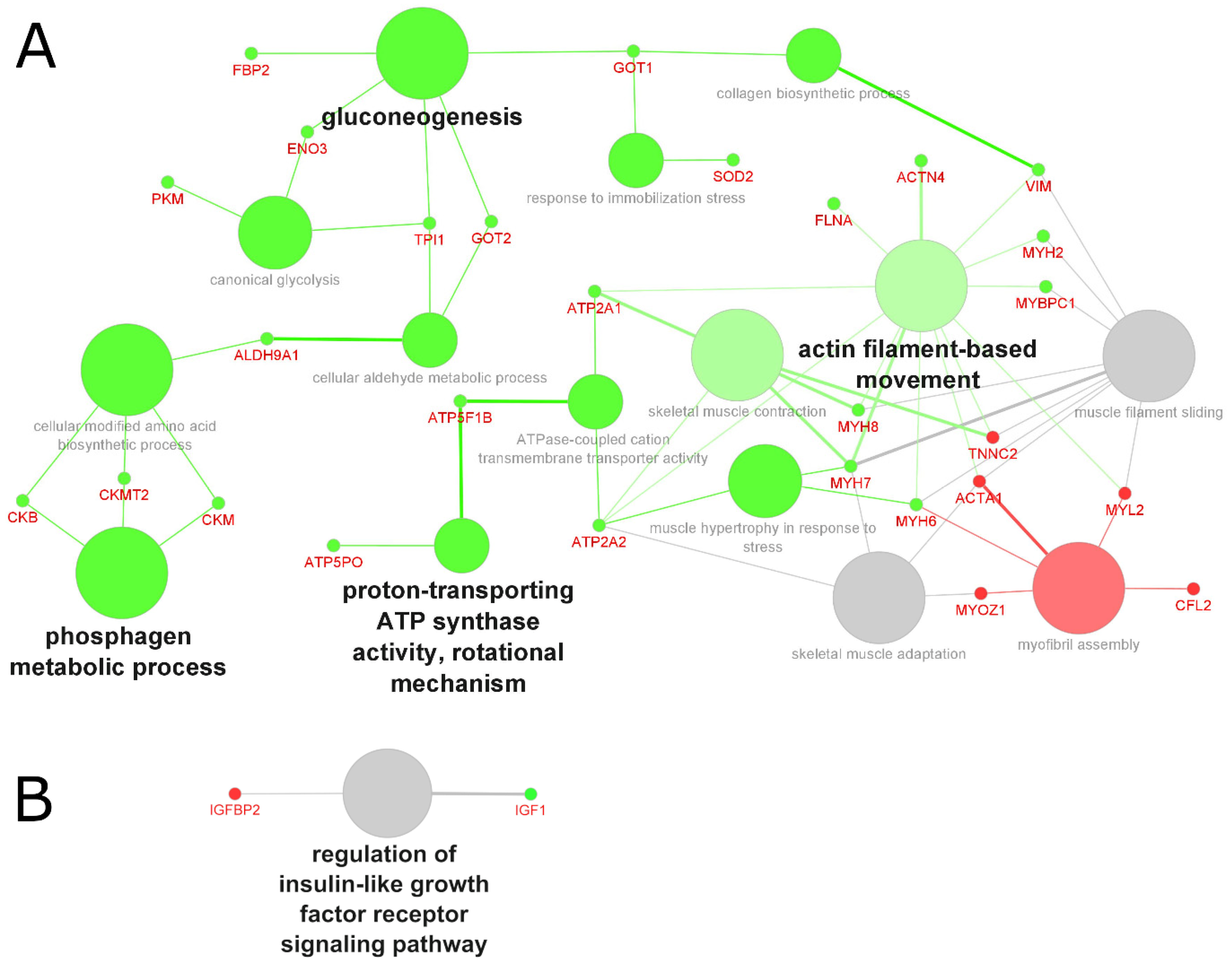 Molecules 27 05514 g004