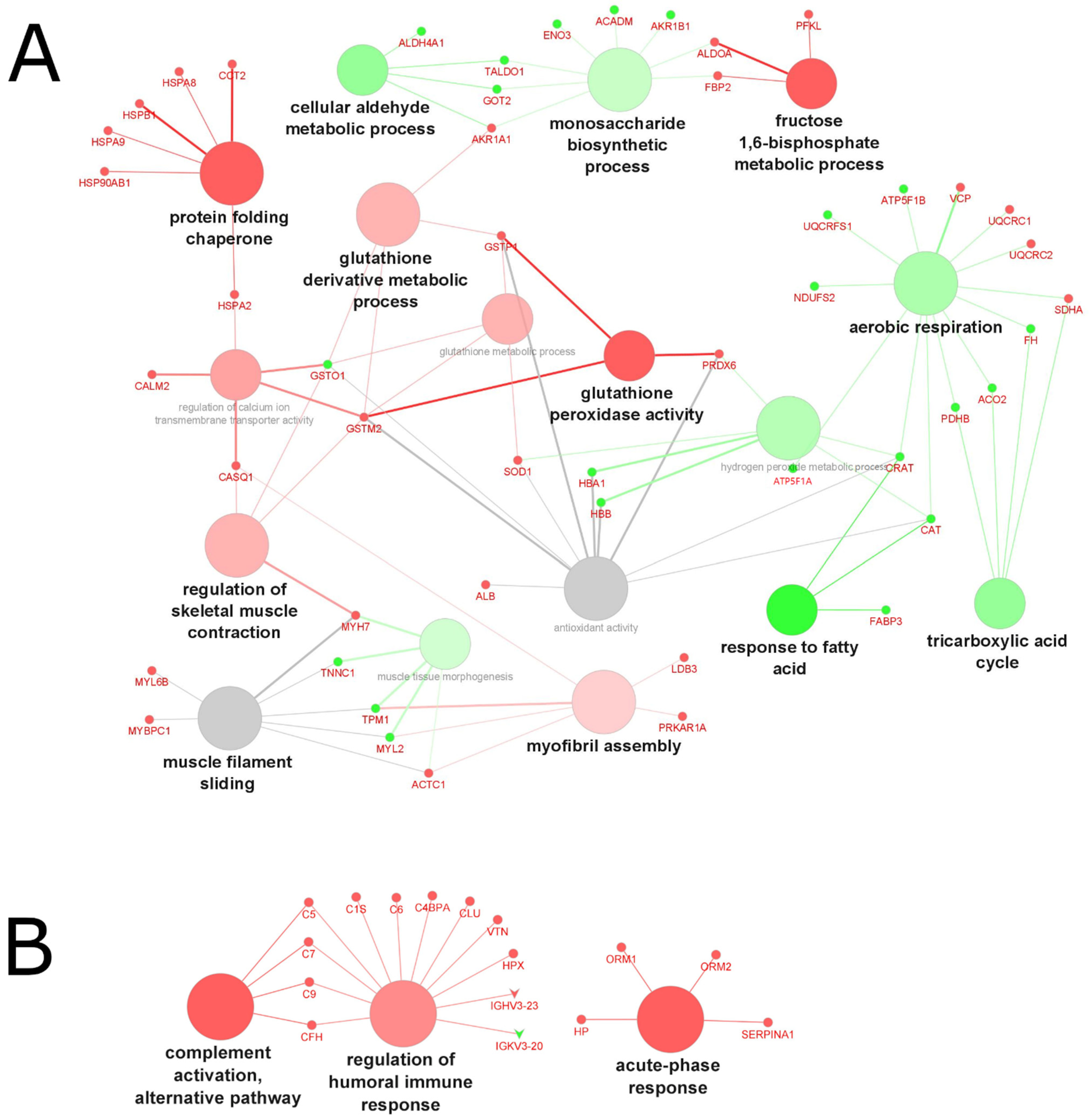 Molecules 27 05514 g005