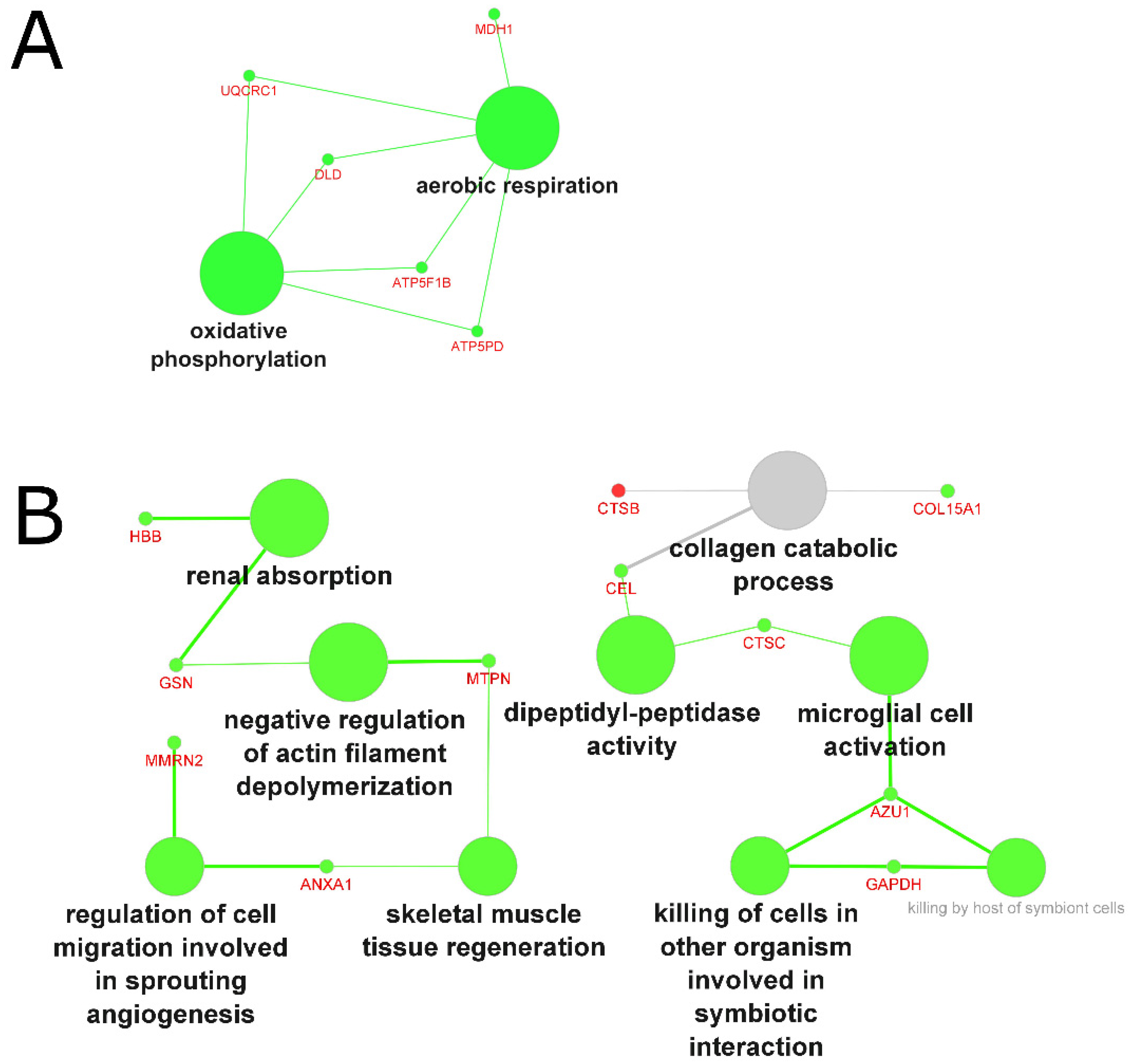 Molecules 27 05514 g006