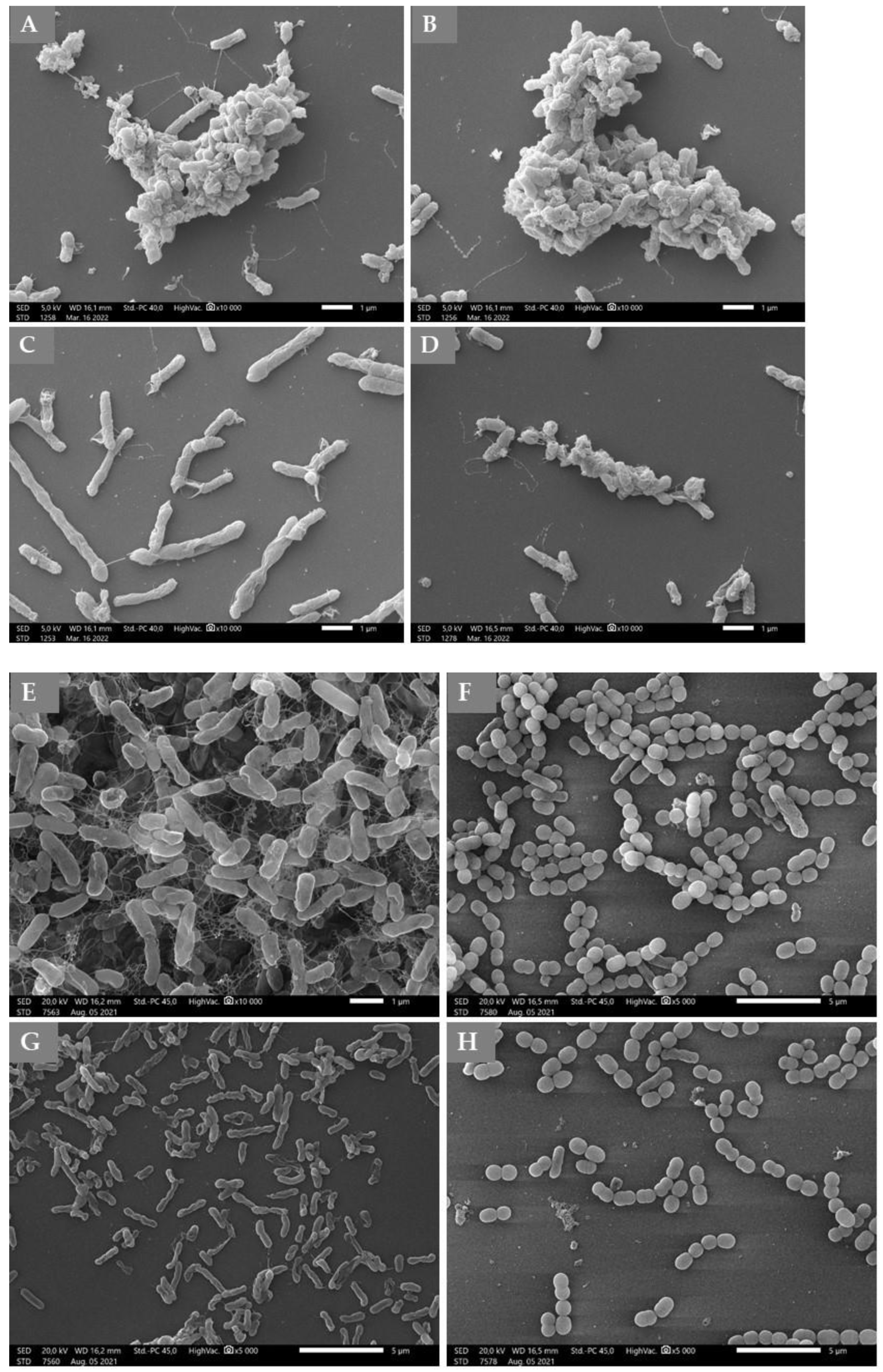 Molecules 27 05518 g002