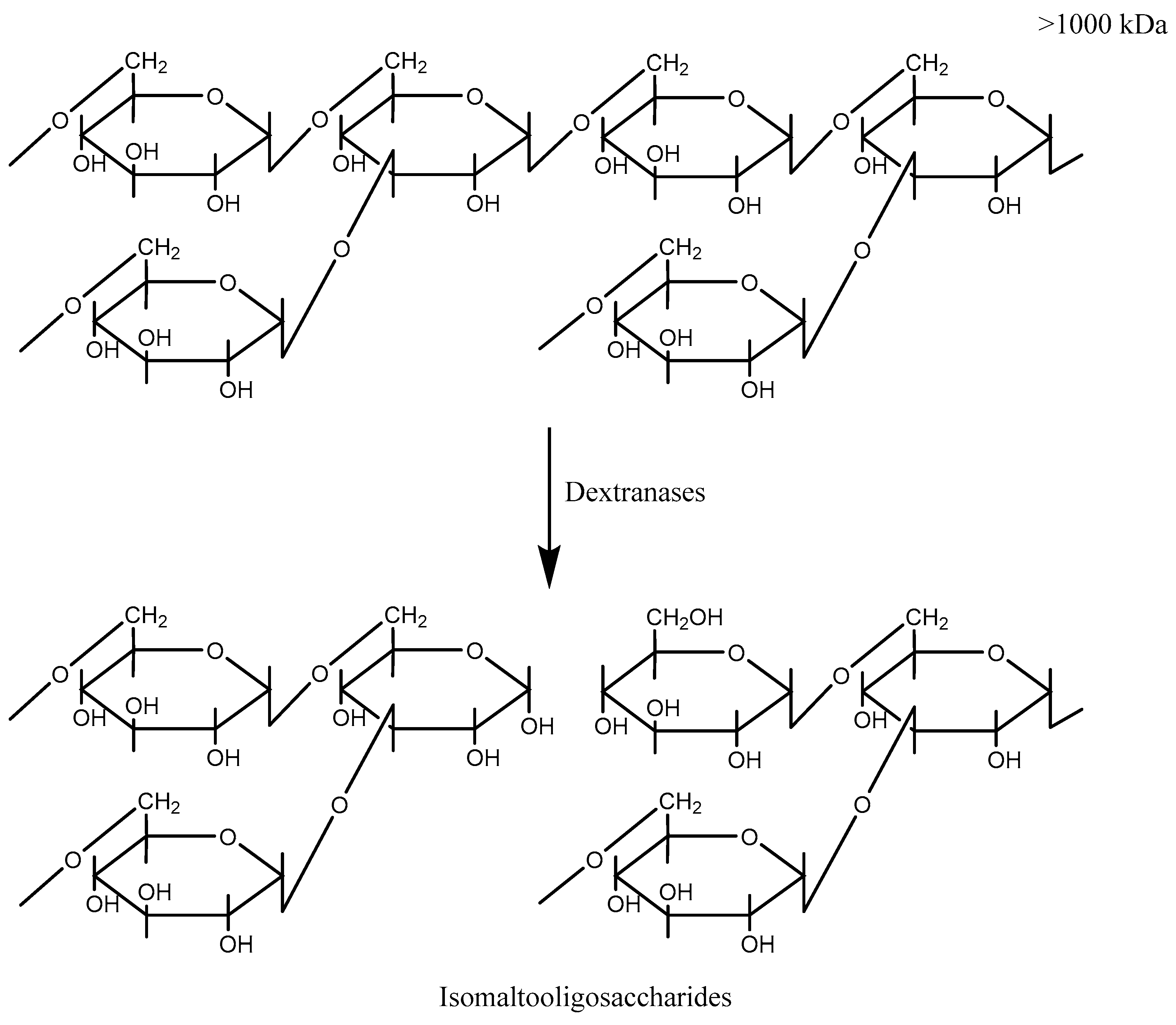Molecules 27 05533 g001