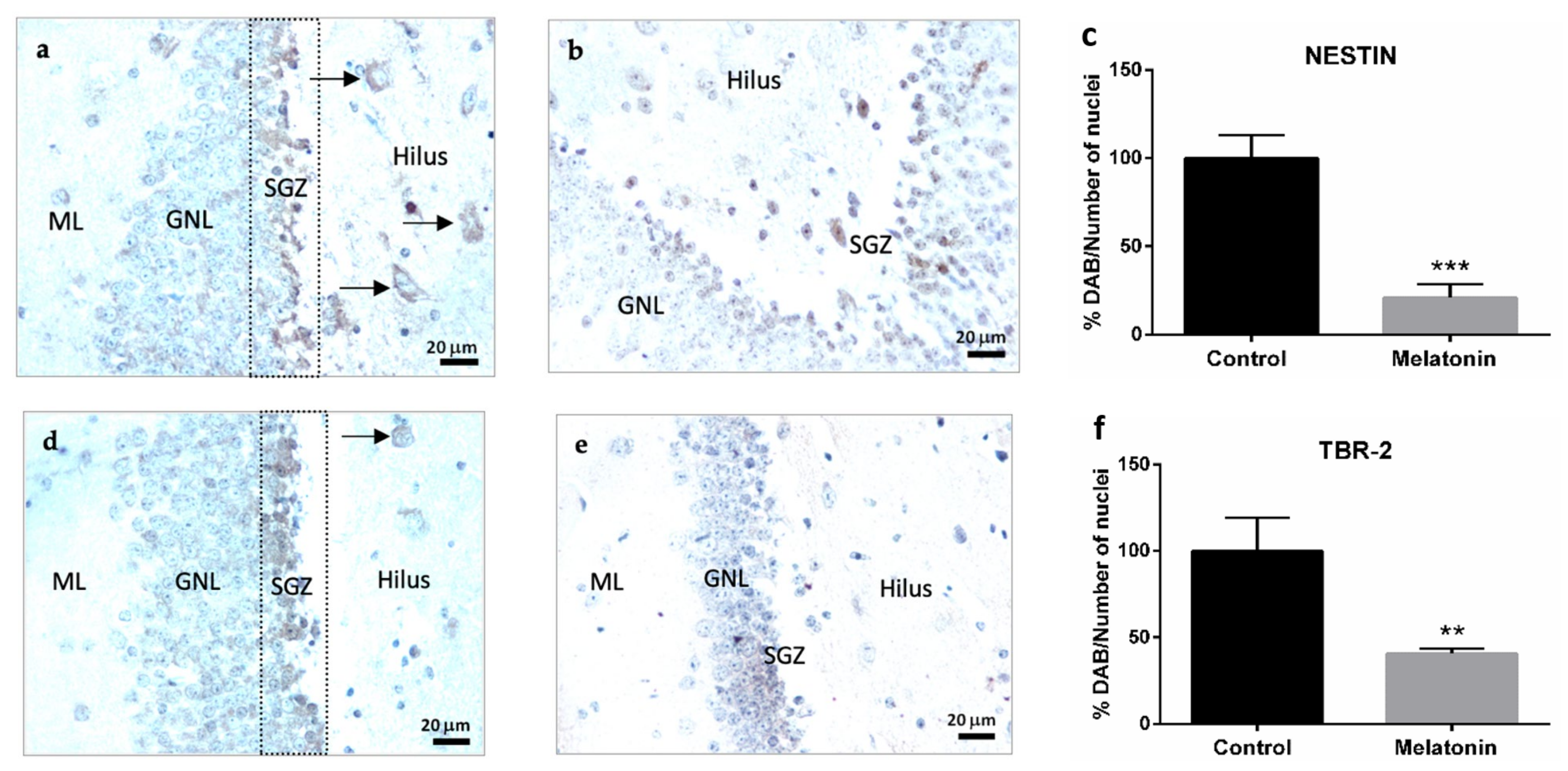 Molecules 27 05543 g004a