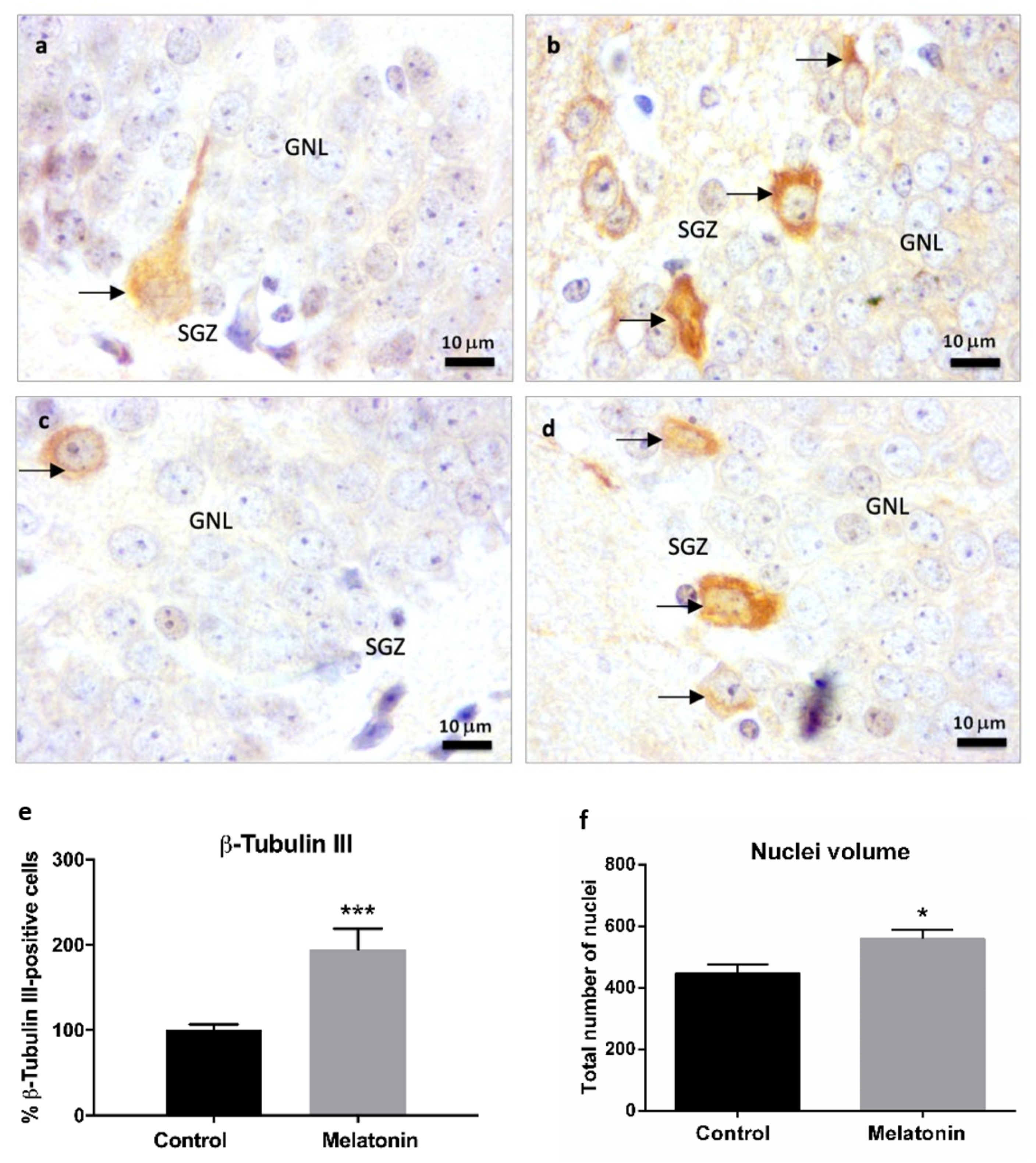 Molecules 27 05543 g006