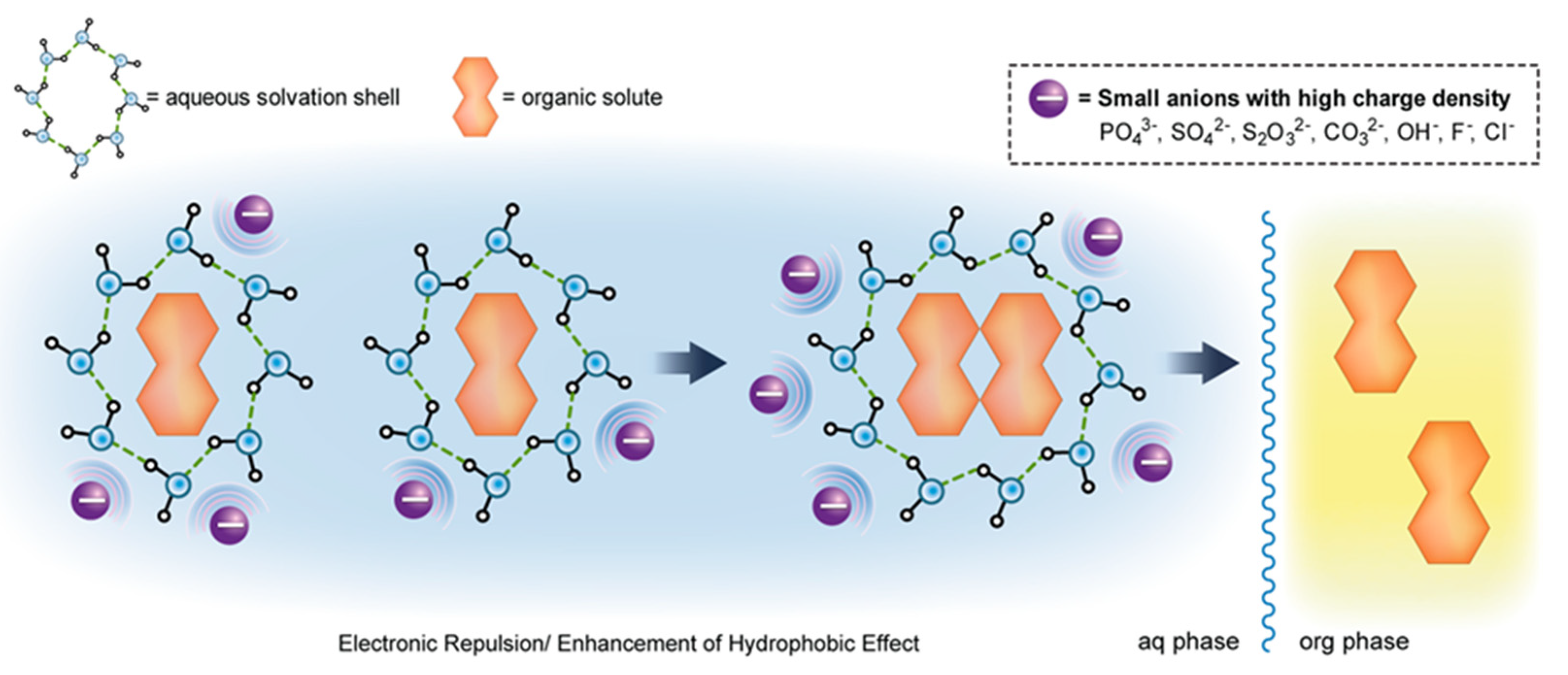 Molecules 27 05547 g005
