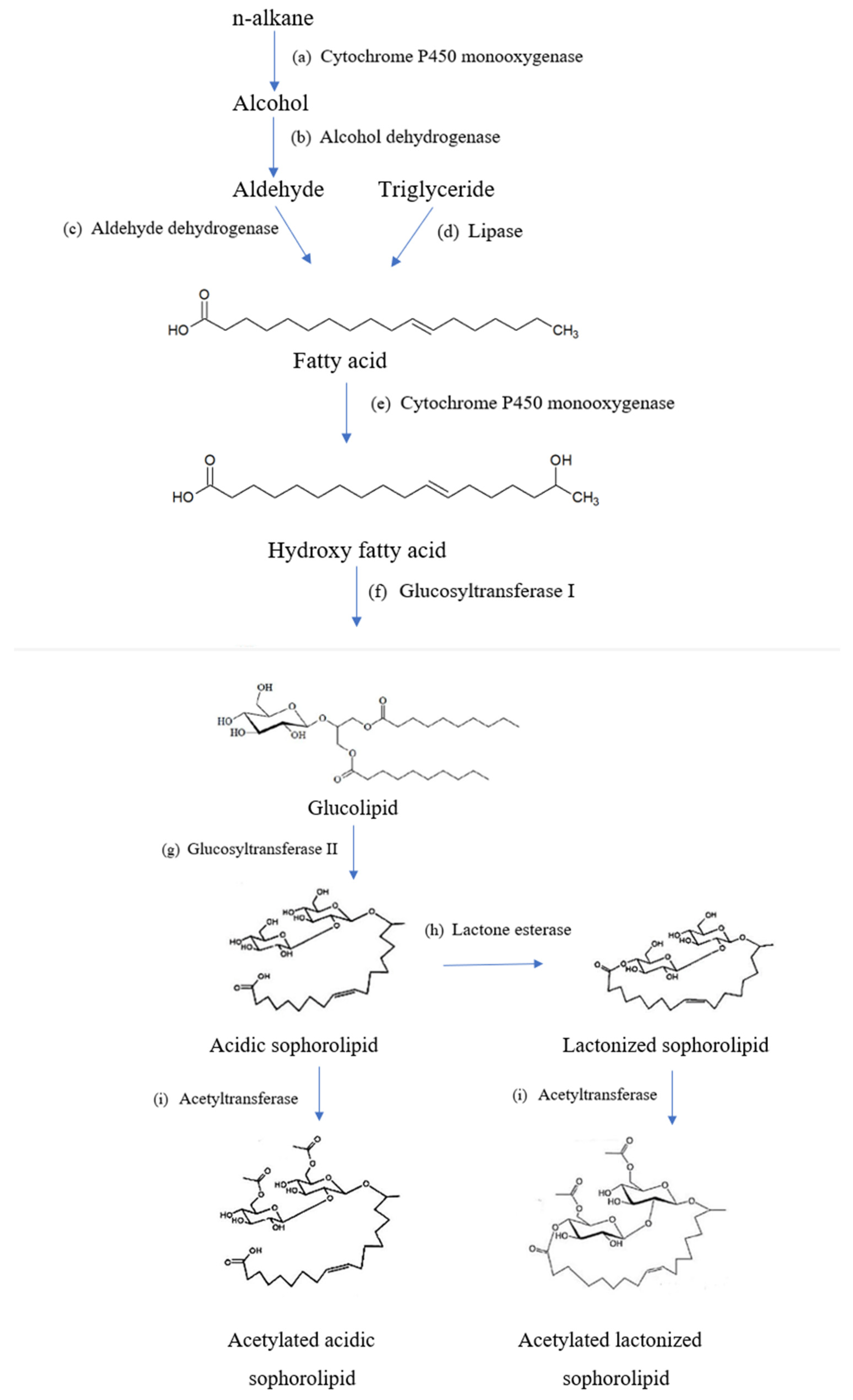 Molecules 27 05556 g003