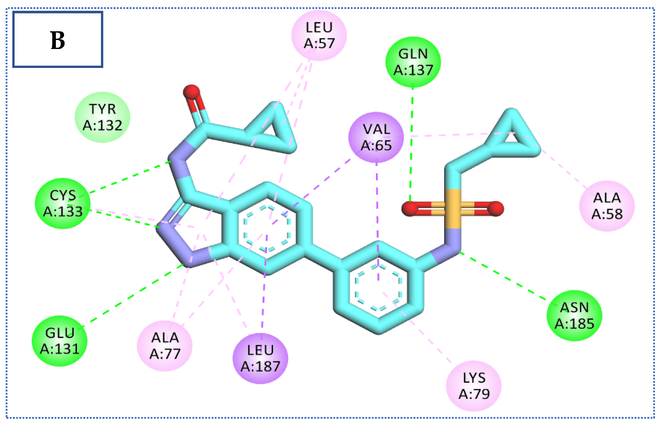 Molecules 27 05571 g004b