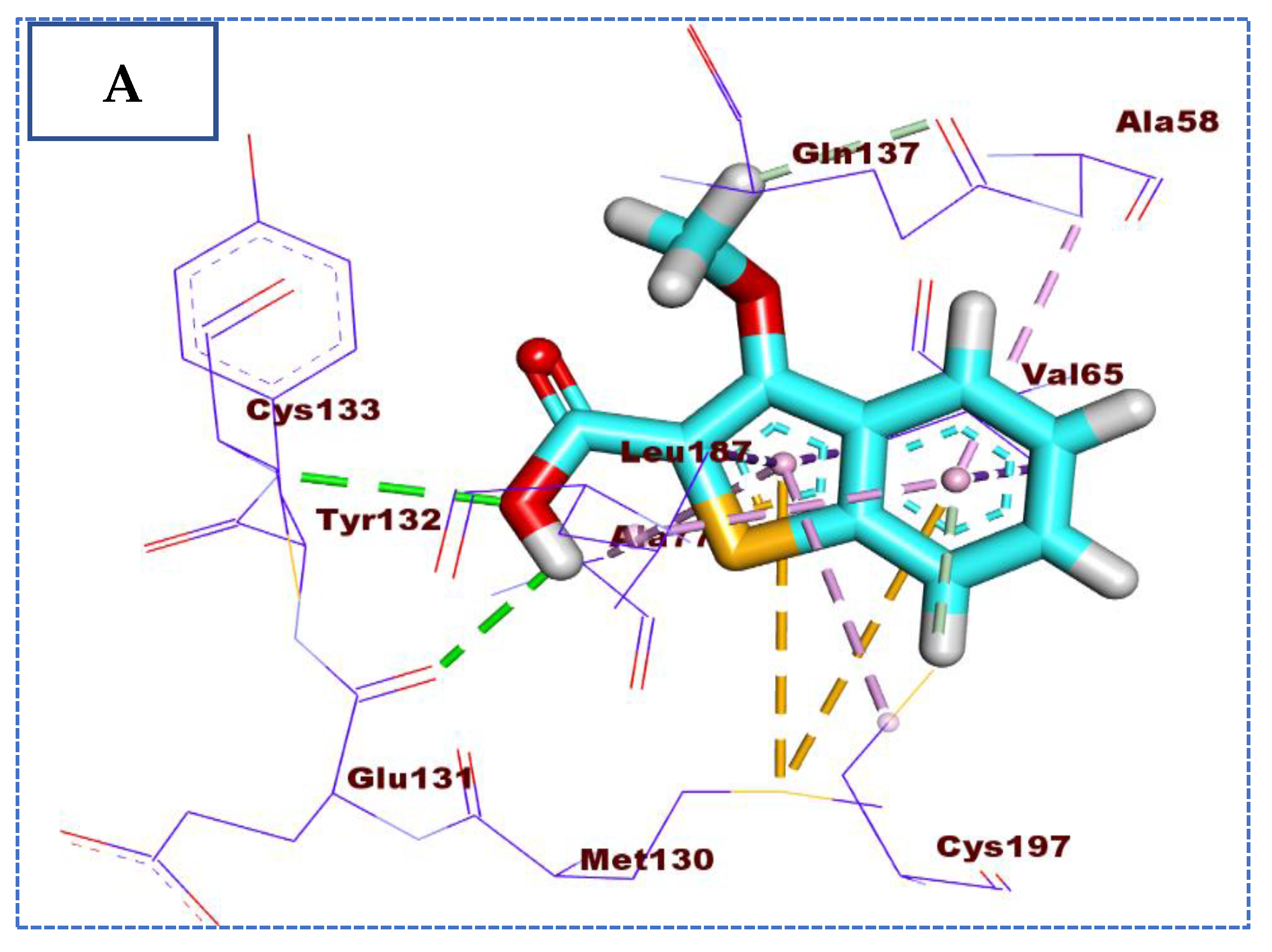 Molecules 27 05571 g005a