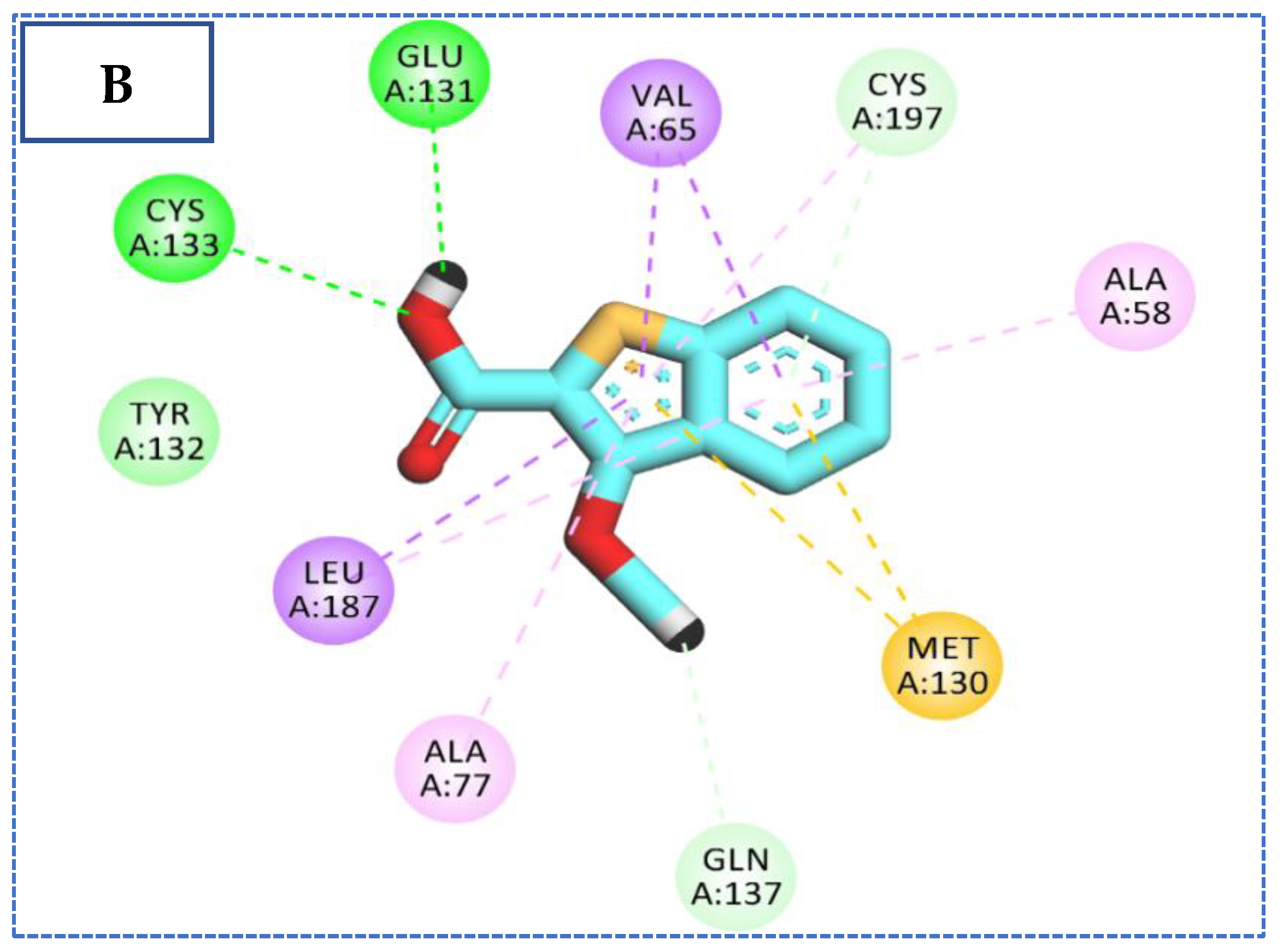 Molecules 27 05571 g005b