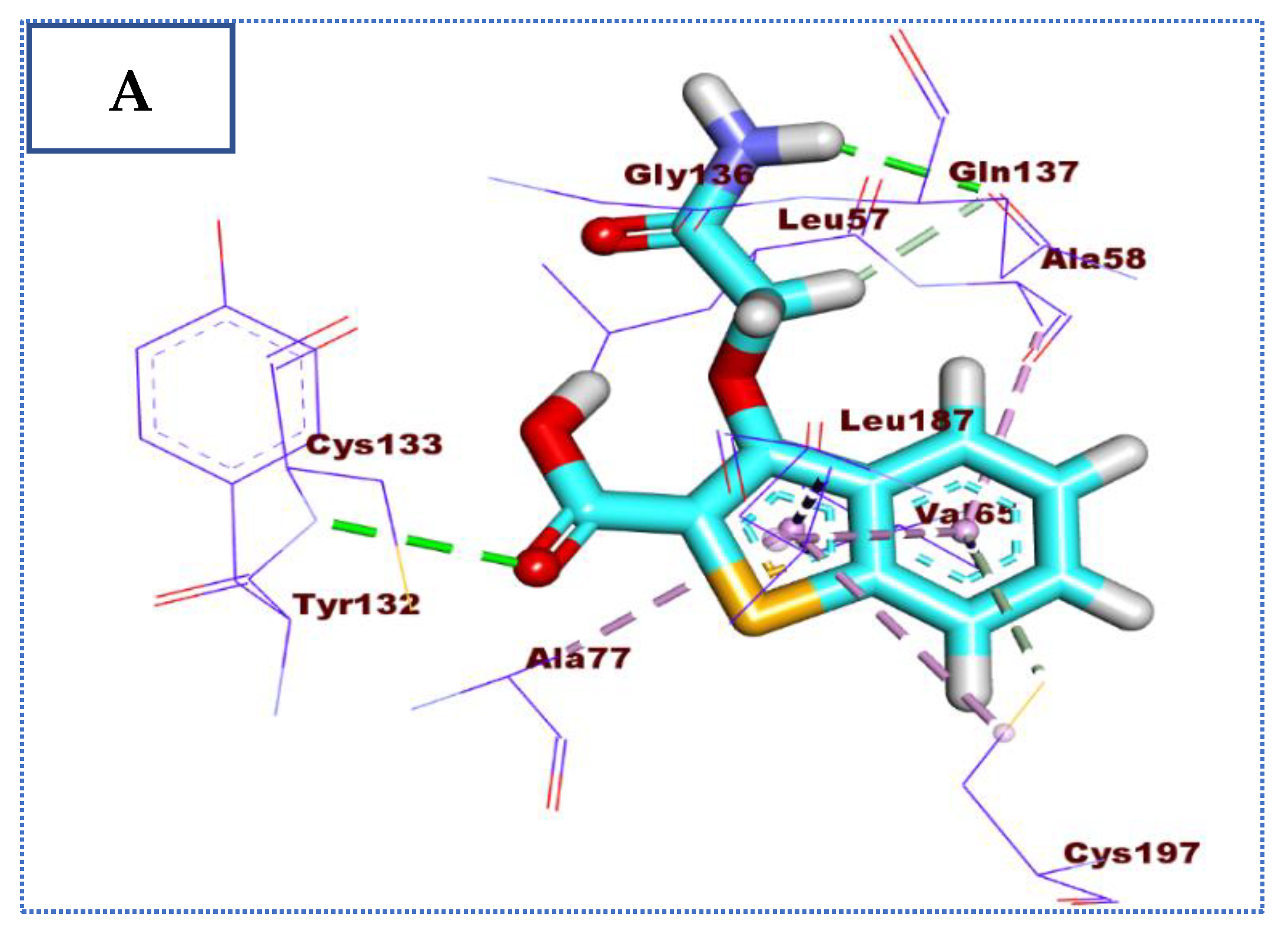 Molecules 27 05571 g006a
