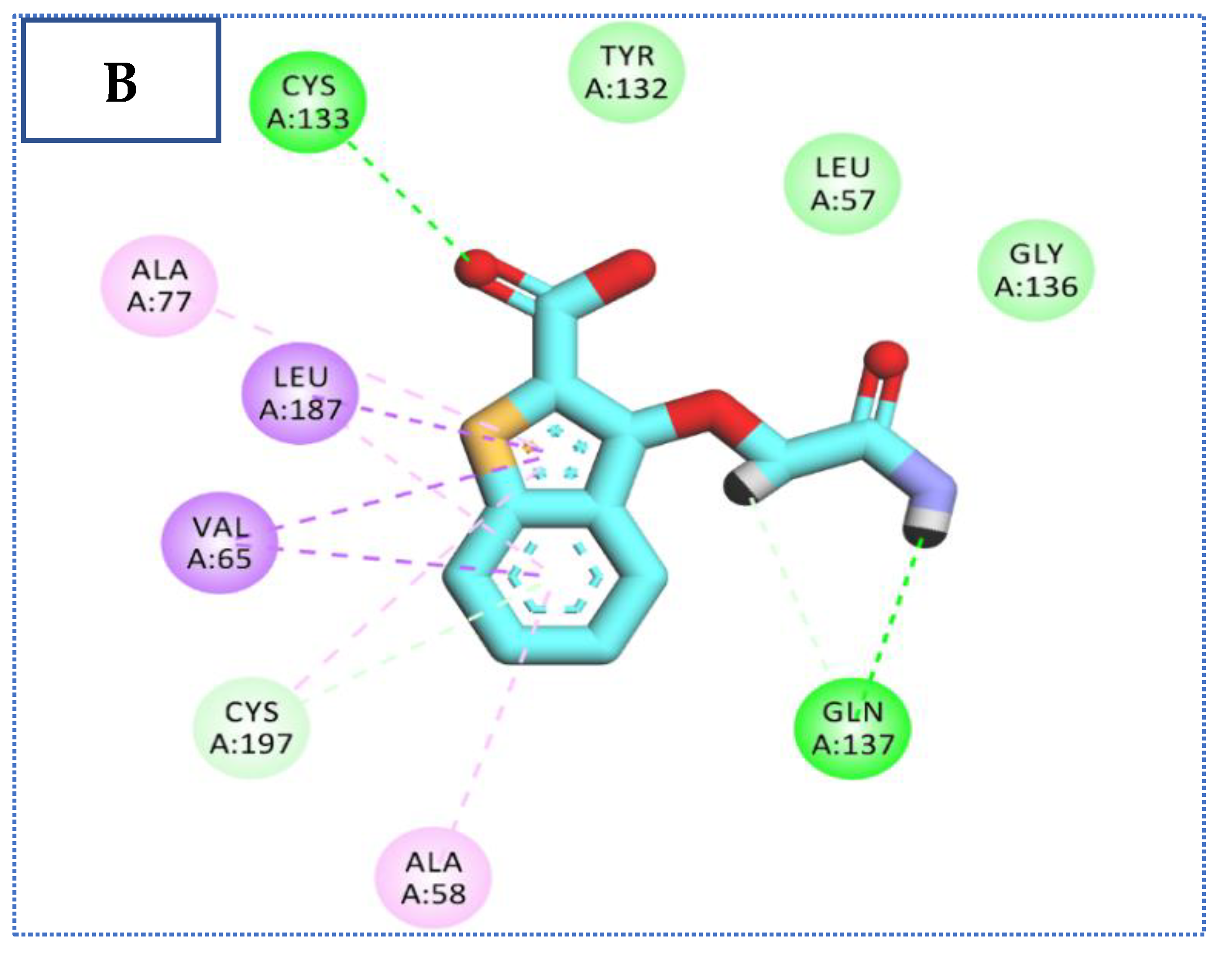 Molecules 27 05571 g006b