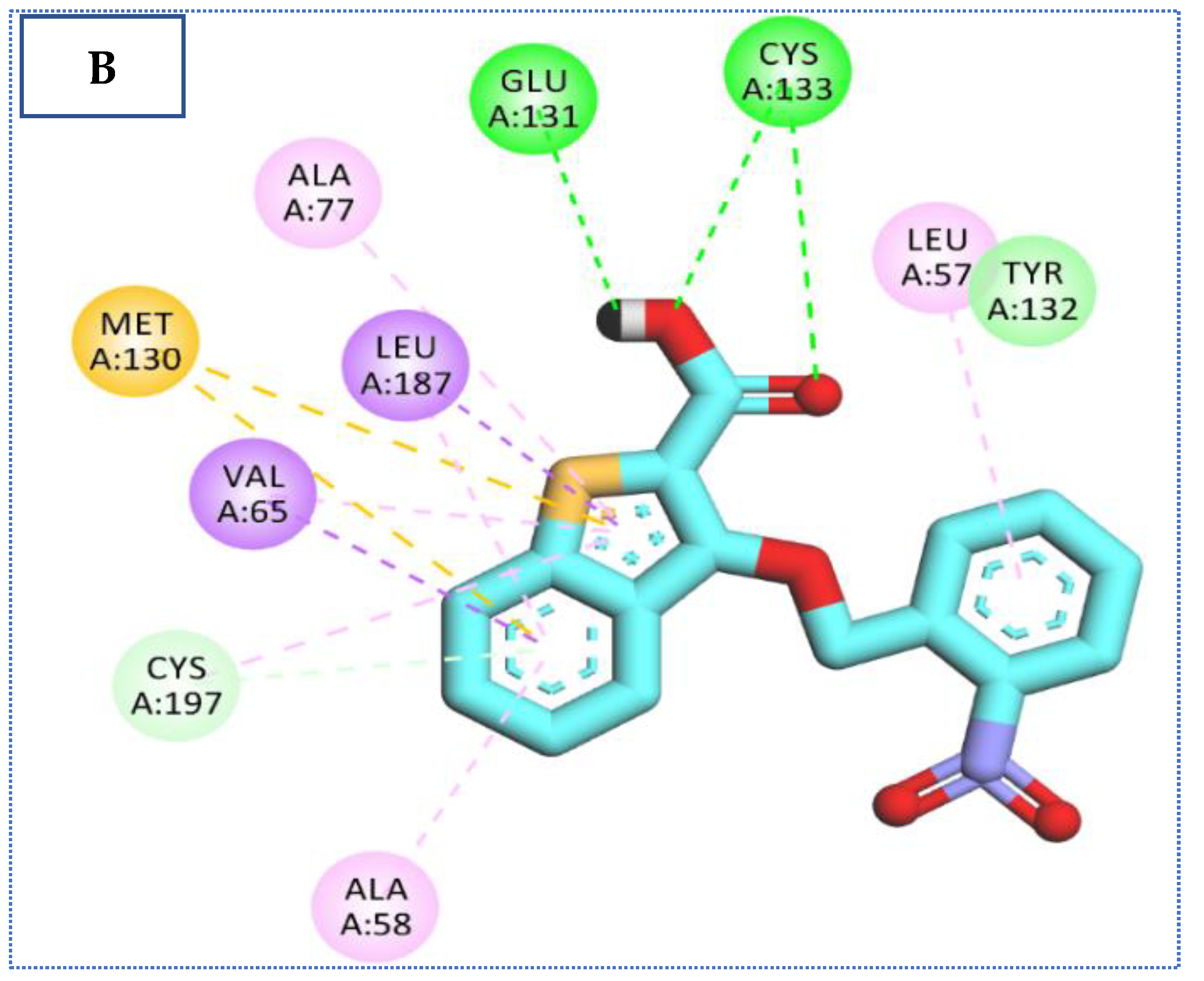 Molecules 27 05571 g007b