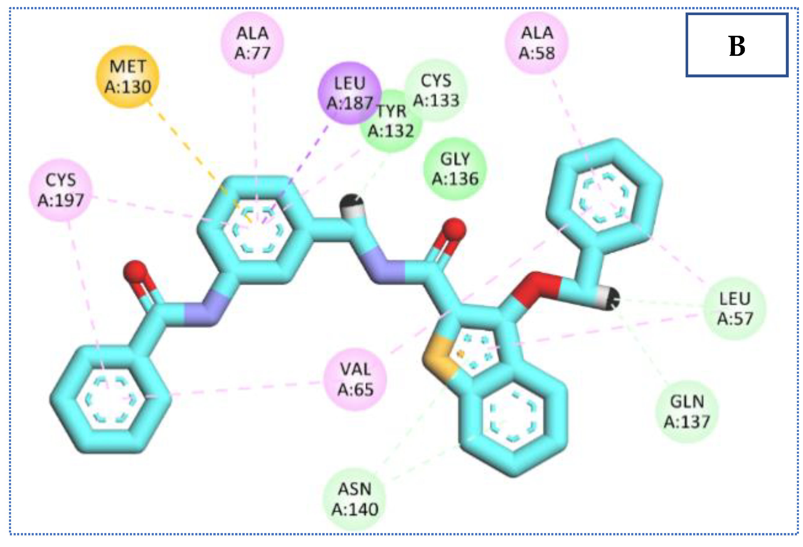 Molecules 27 05571 g008b