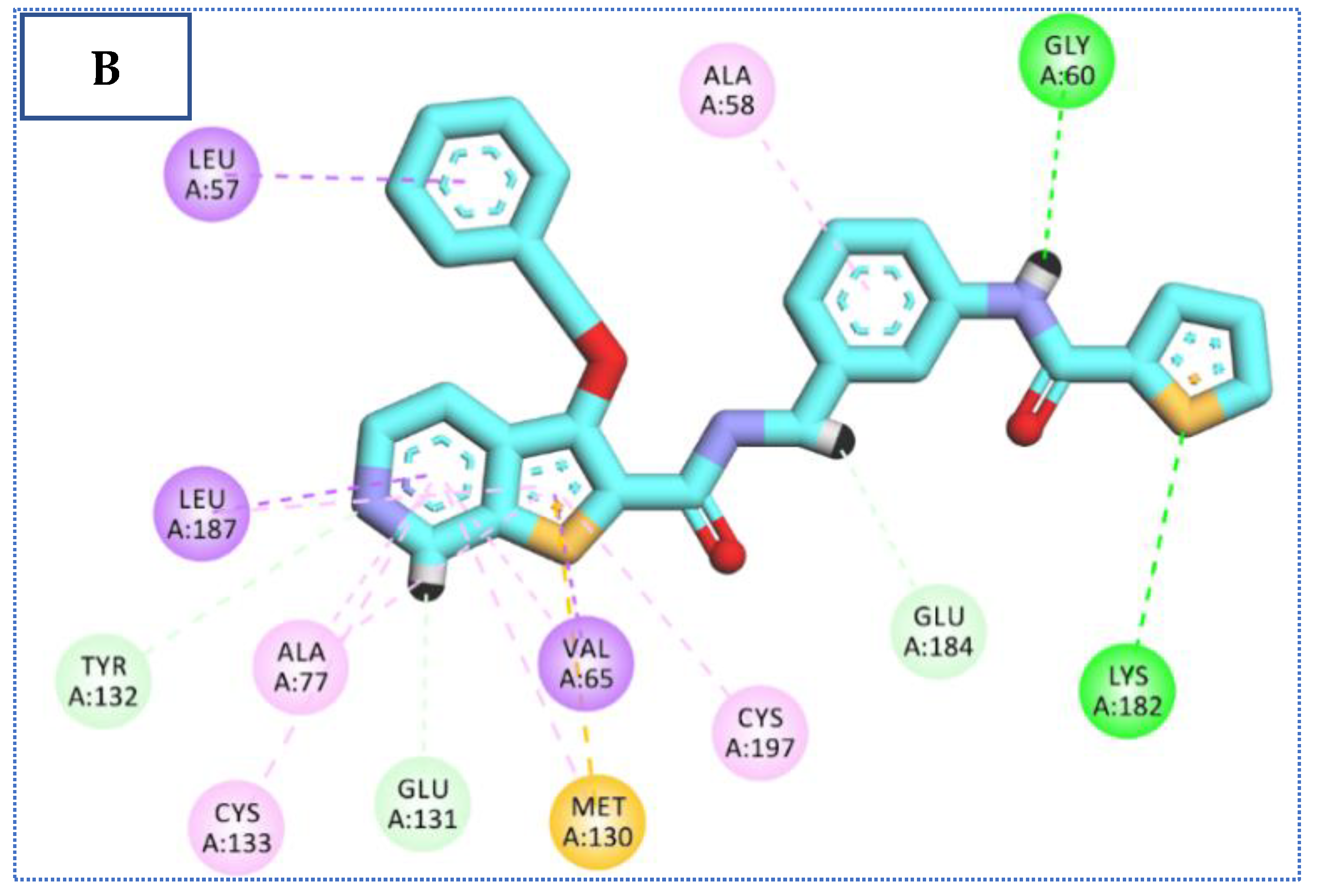 Molecules 27 05571 g009b