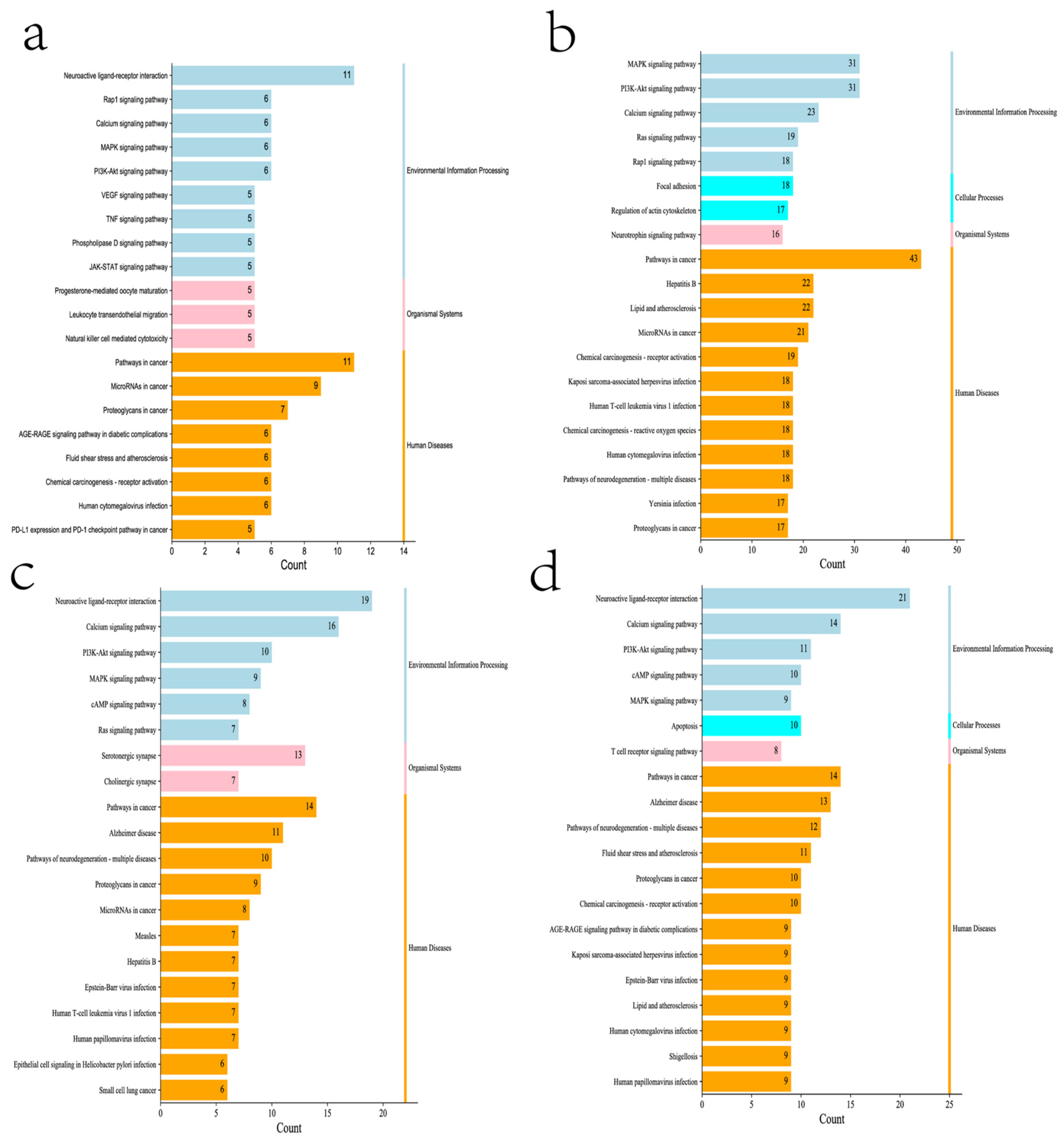 Molecules 27 05594 g007