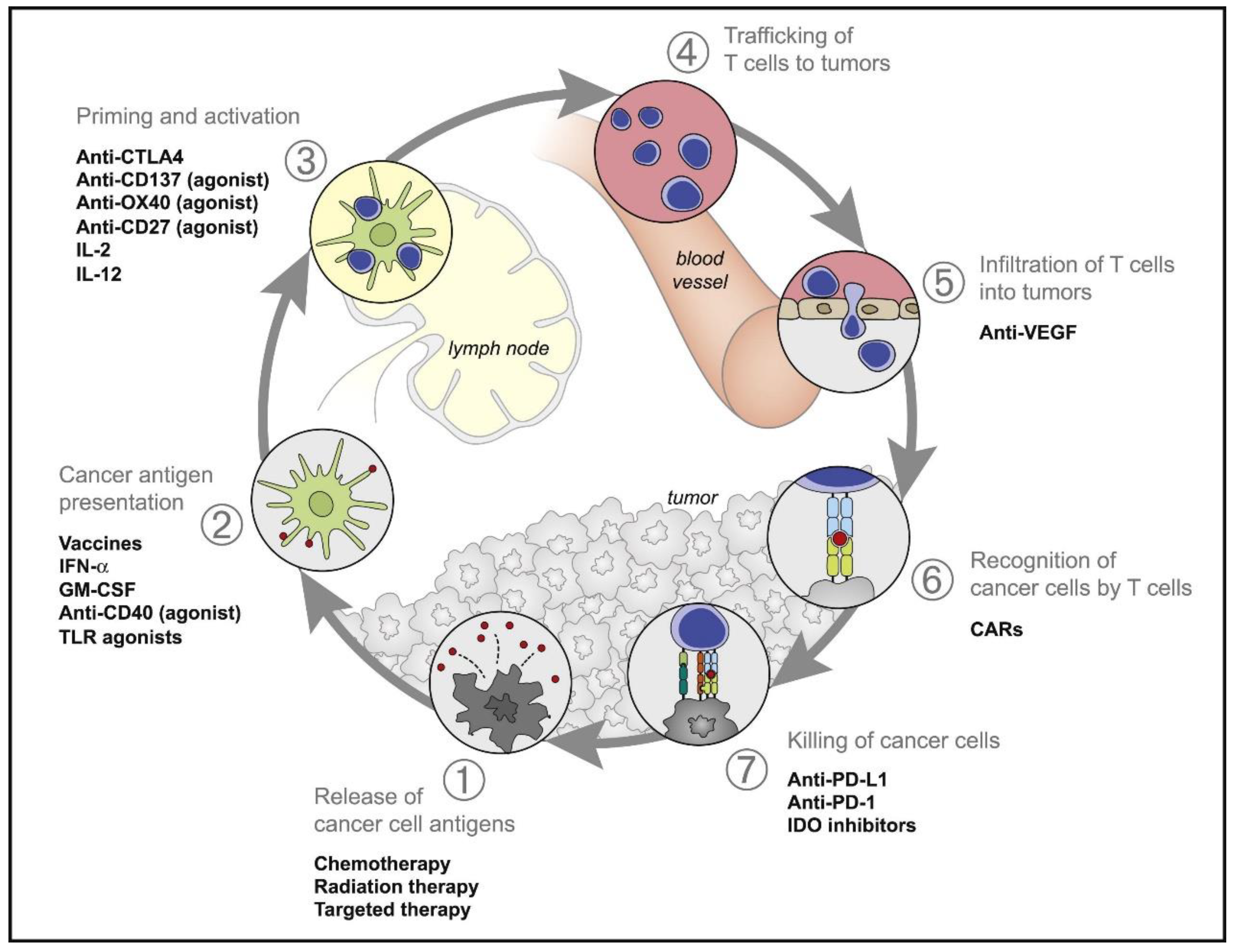 Molecules 27 05607 g001 Molecules 27 05607 g001