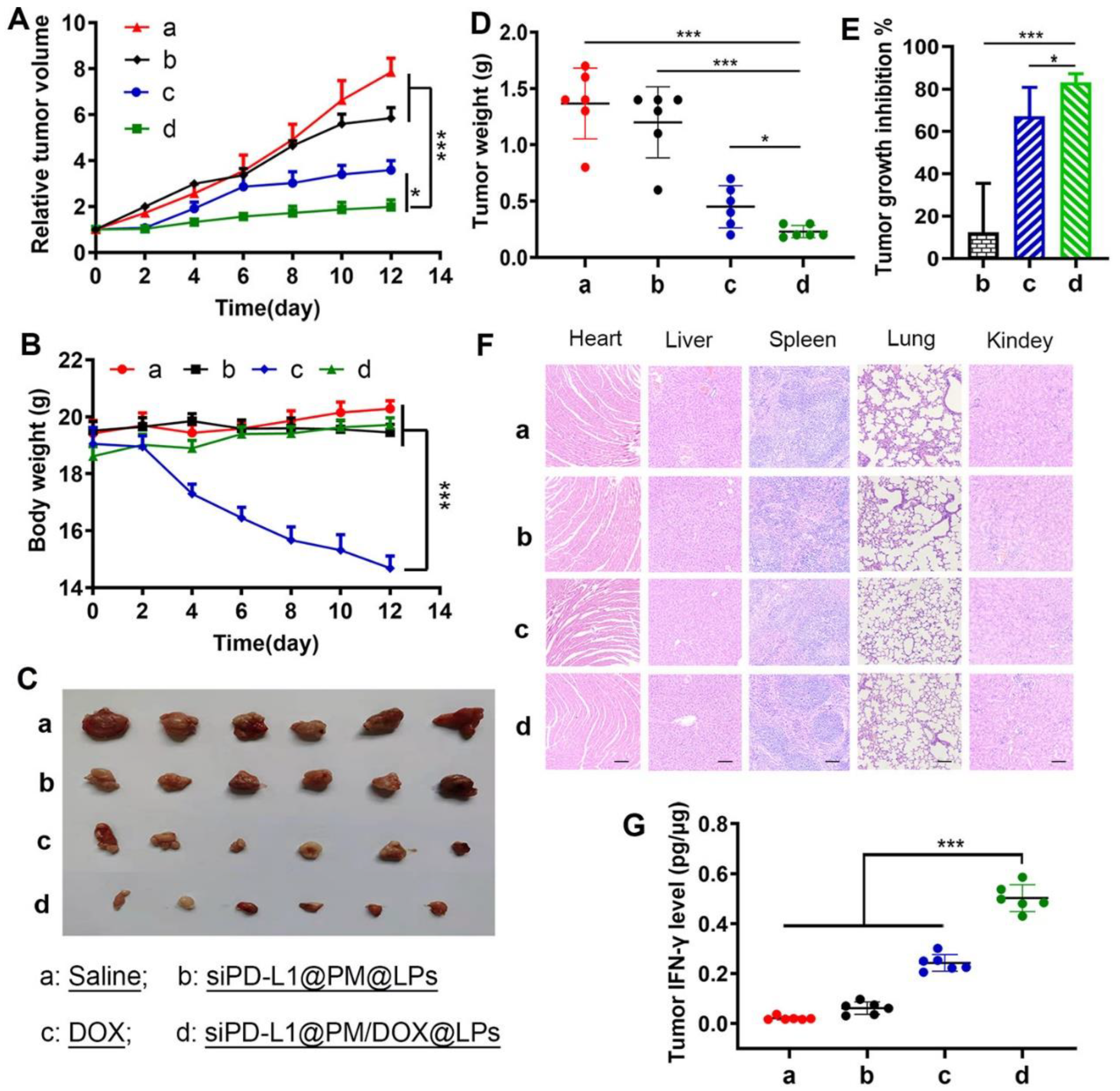 Molecules 27 05607 g005 Molecules 27 05607 g005