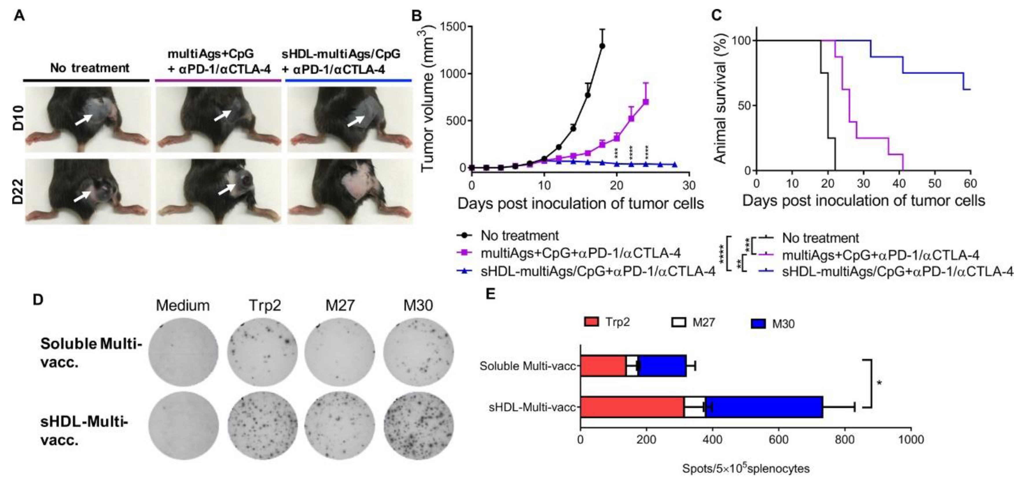 Molecules 27 05607 g006 Molecules 27 05607 g006
