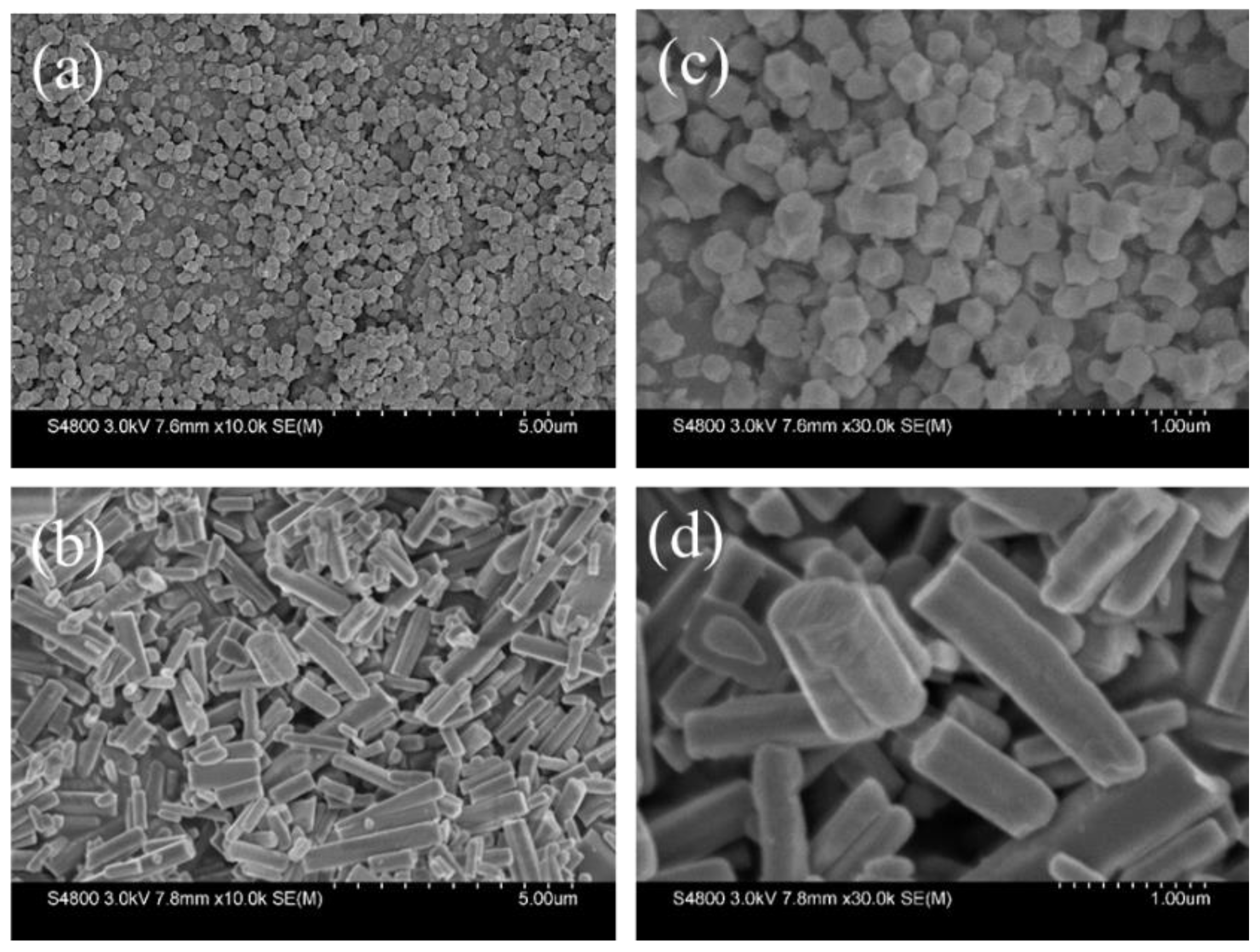 Molecules 27 05615 g002