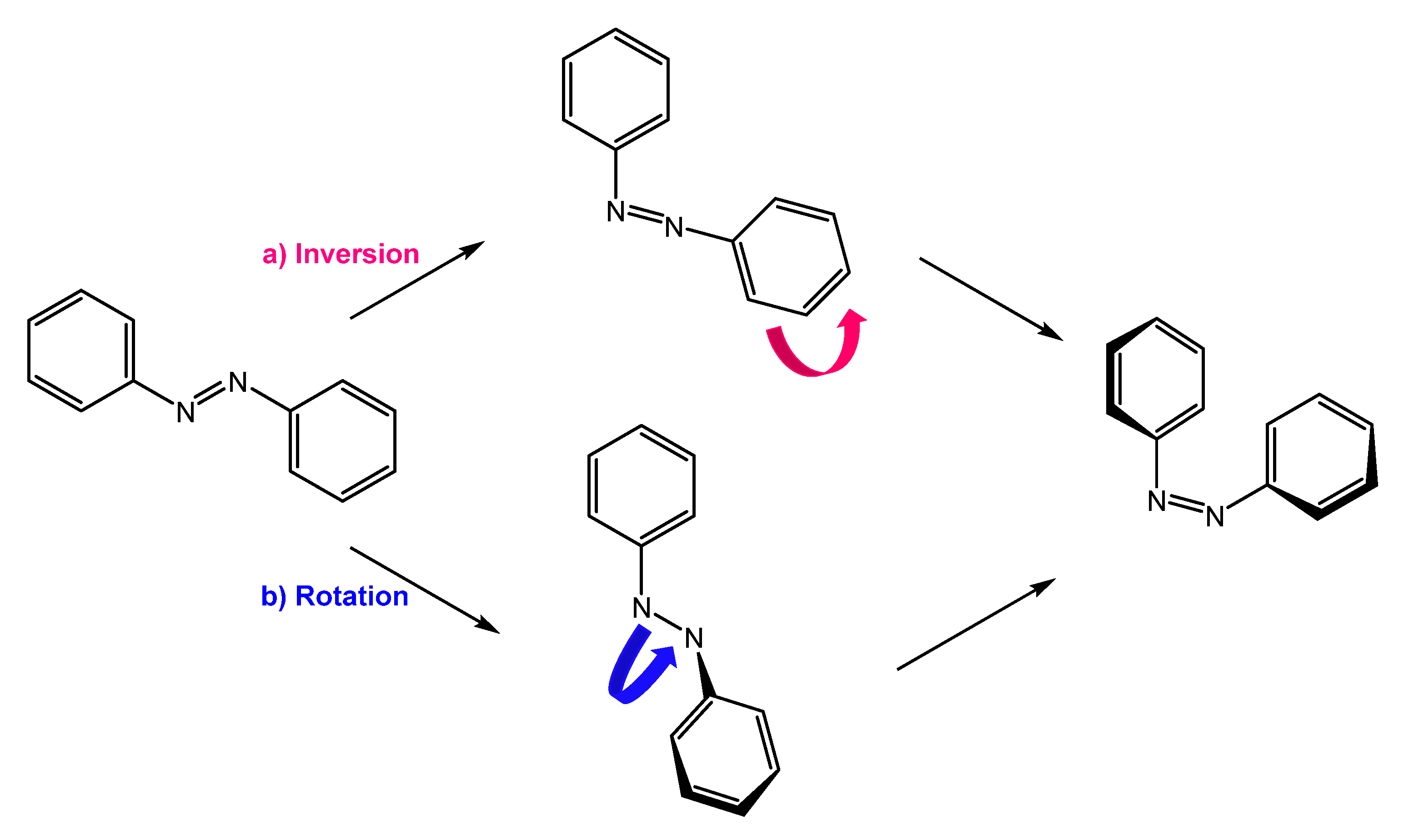 Molecules 27 05643 g001