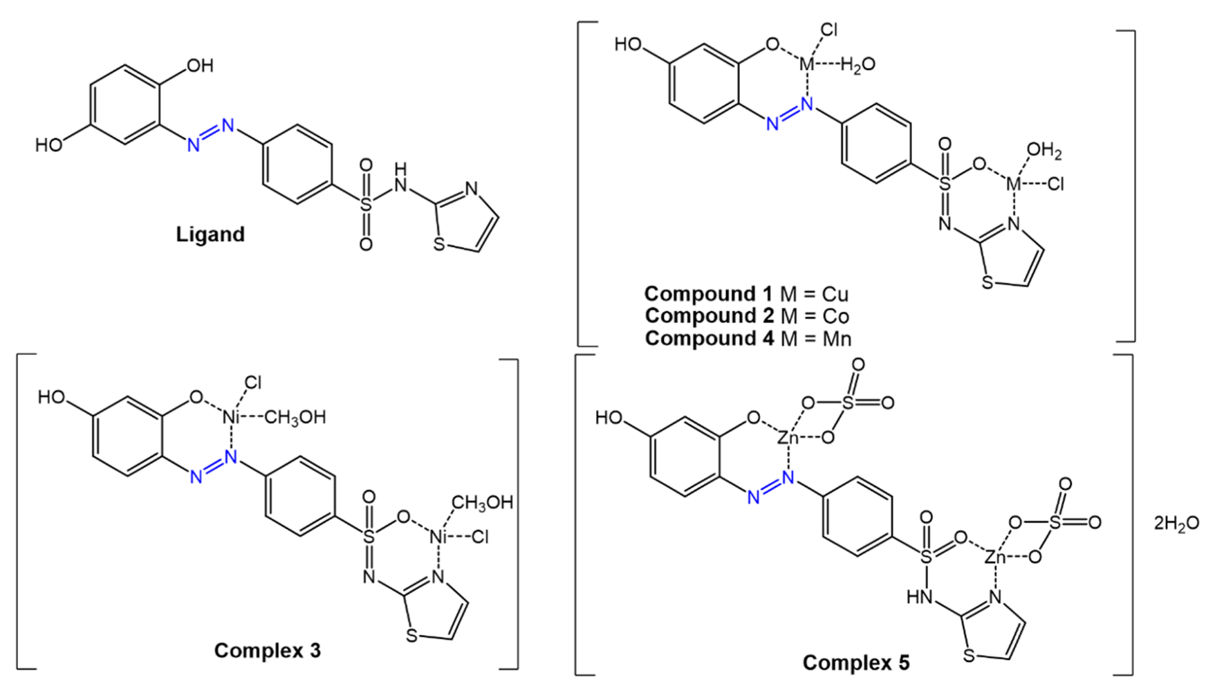 Molecules 27 05643 g019