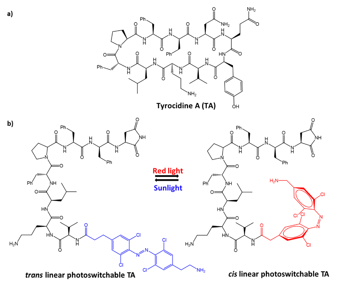 Molecules 27 05643 g028