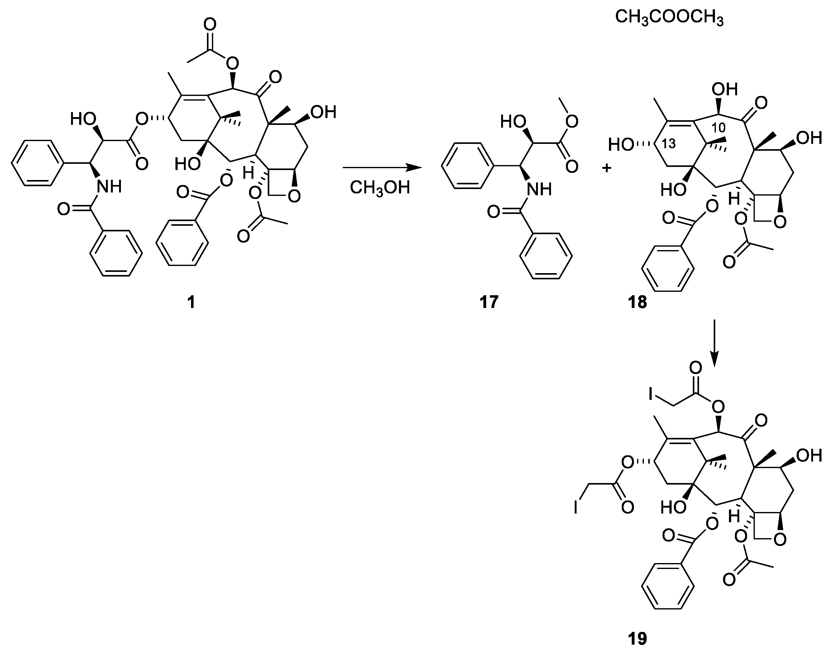 Molecules 27 05648 g005