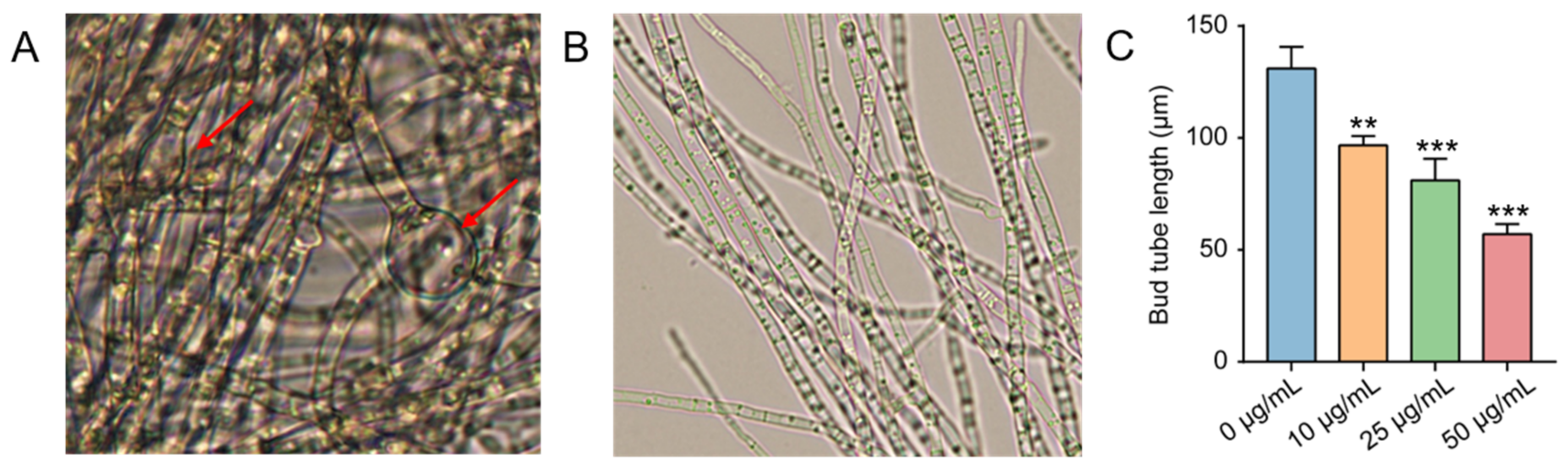 Molecules 27 05649 g005 Molecules 27 05649 g005