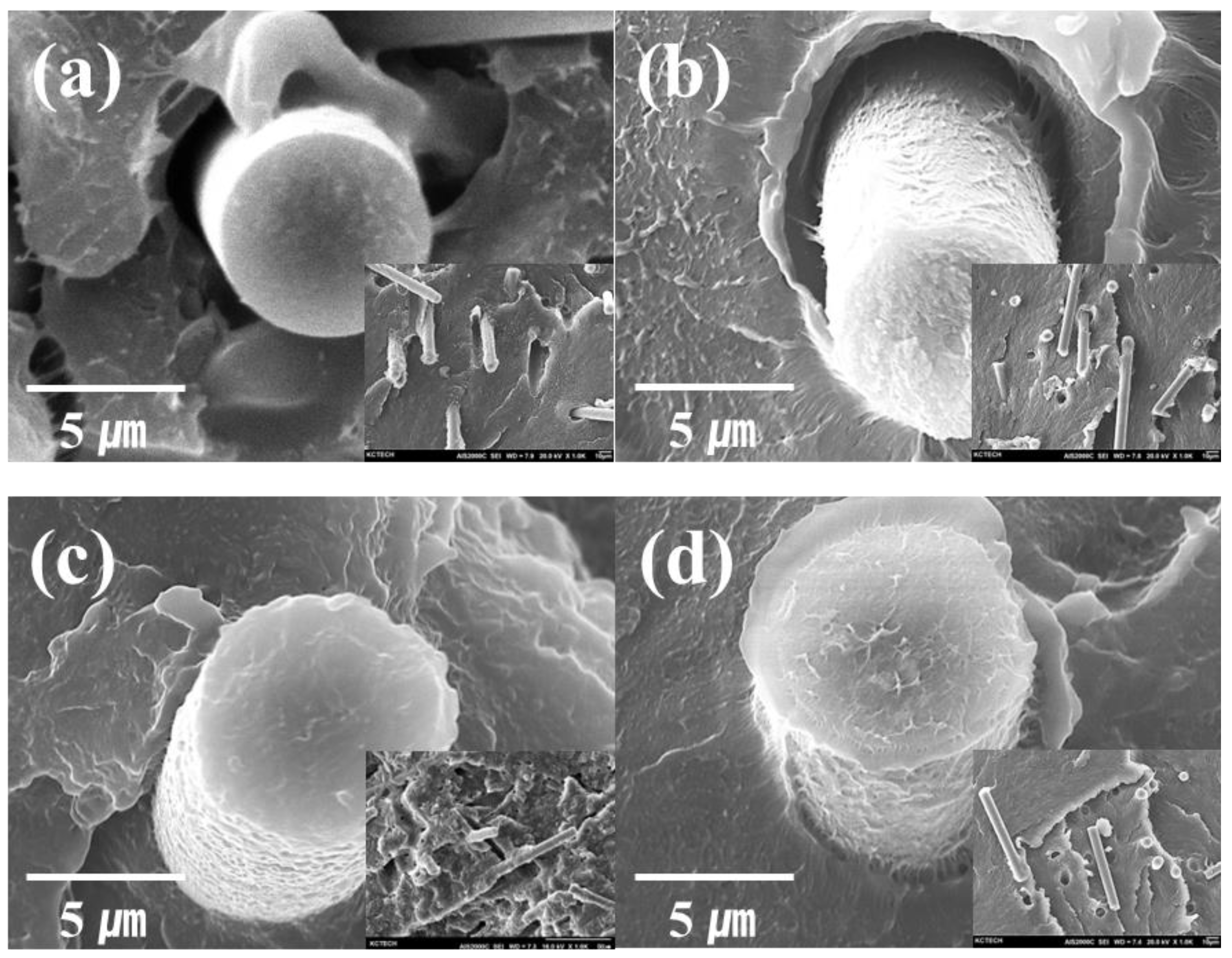 Molecules 27 05663 g003