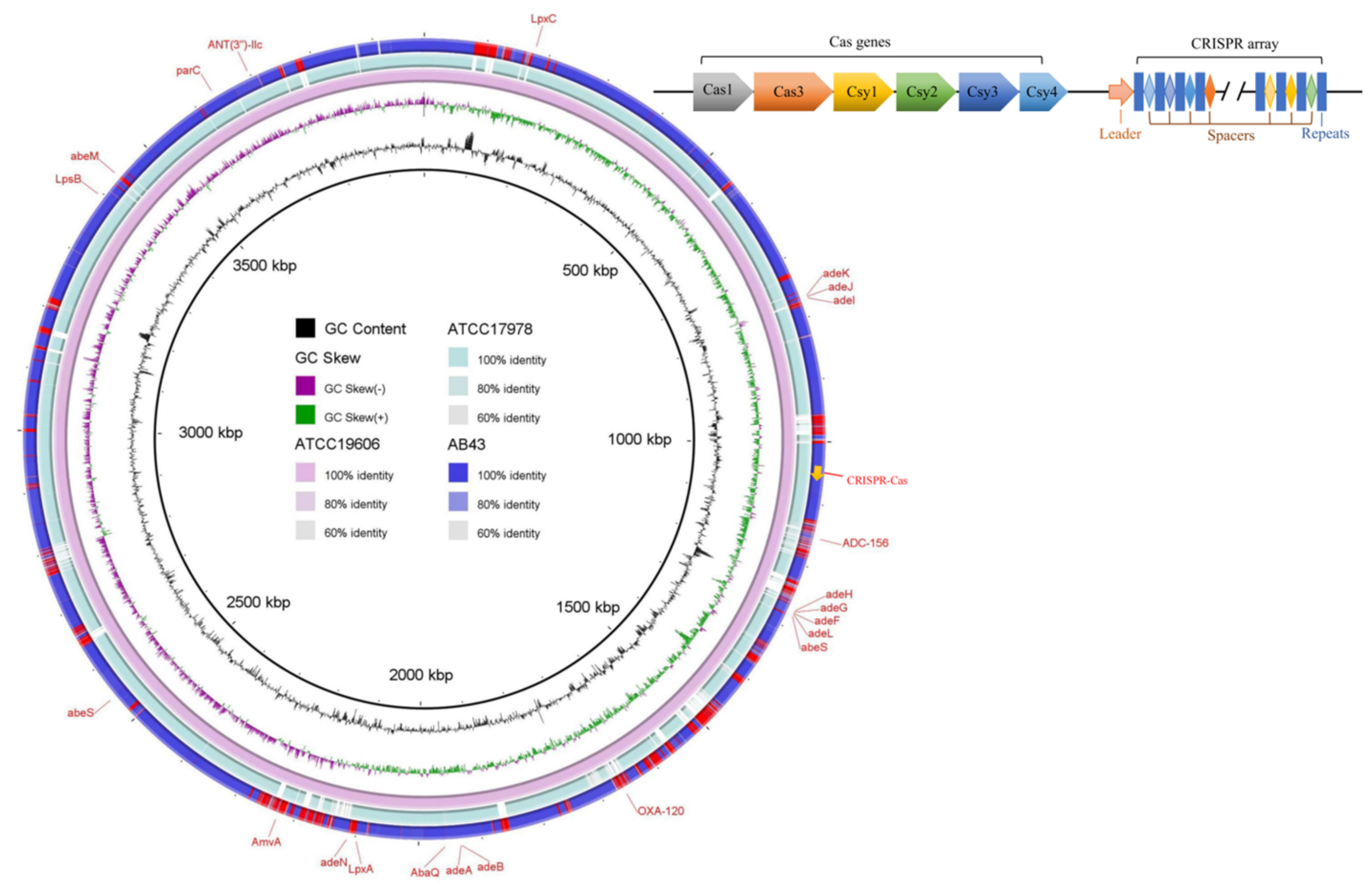 Molecules 27 05665 g002