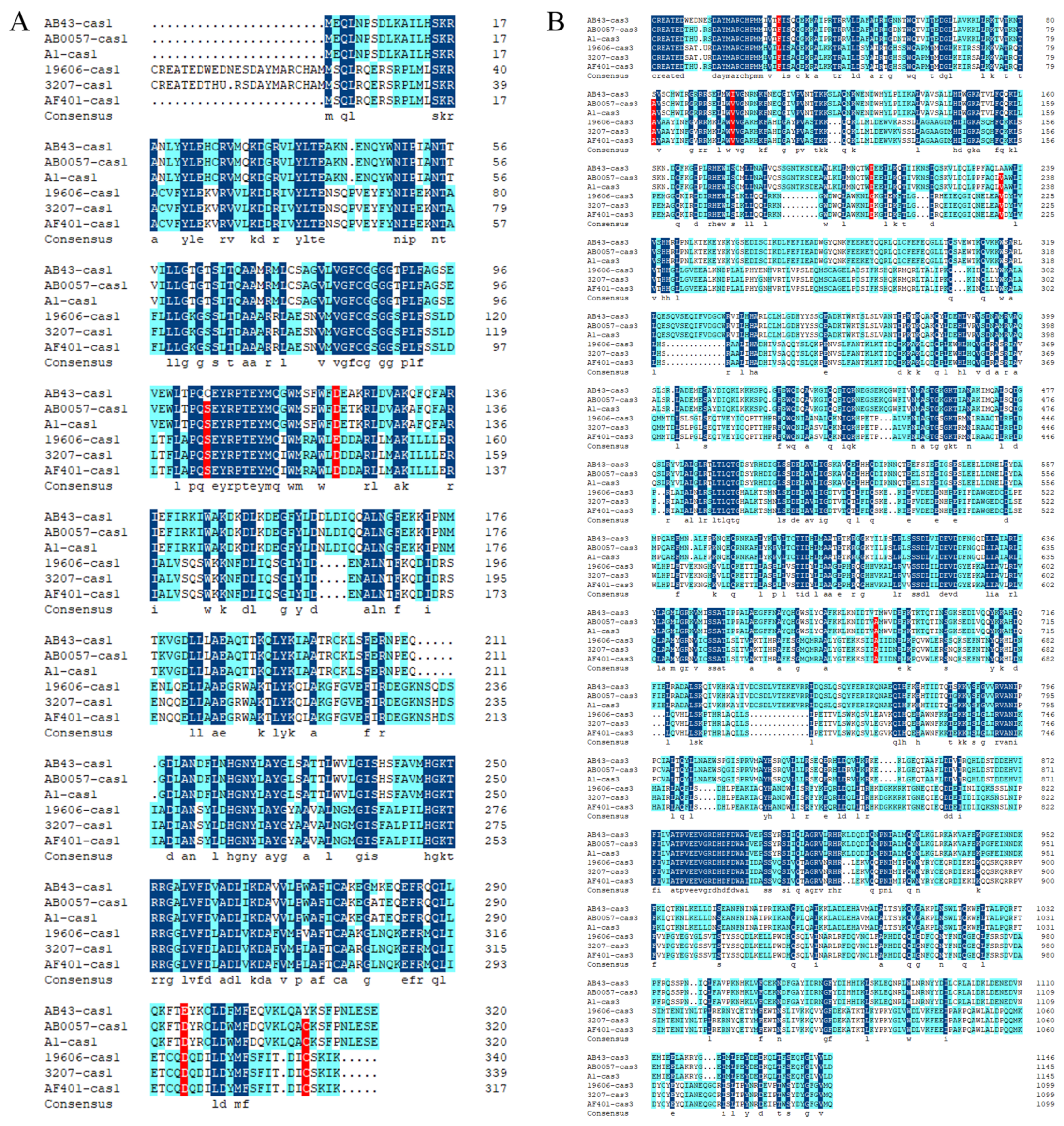 Molecules 27 05665 g004