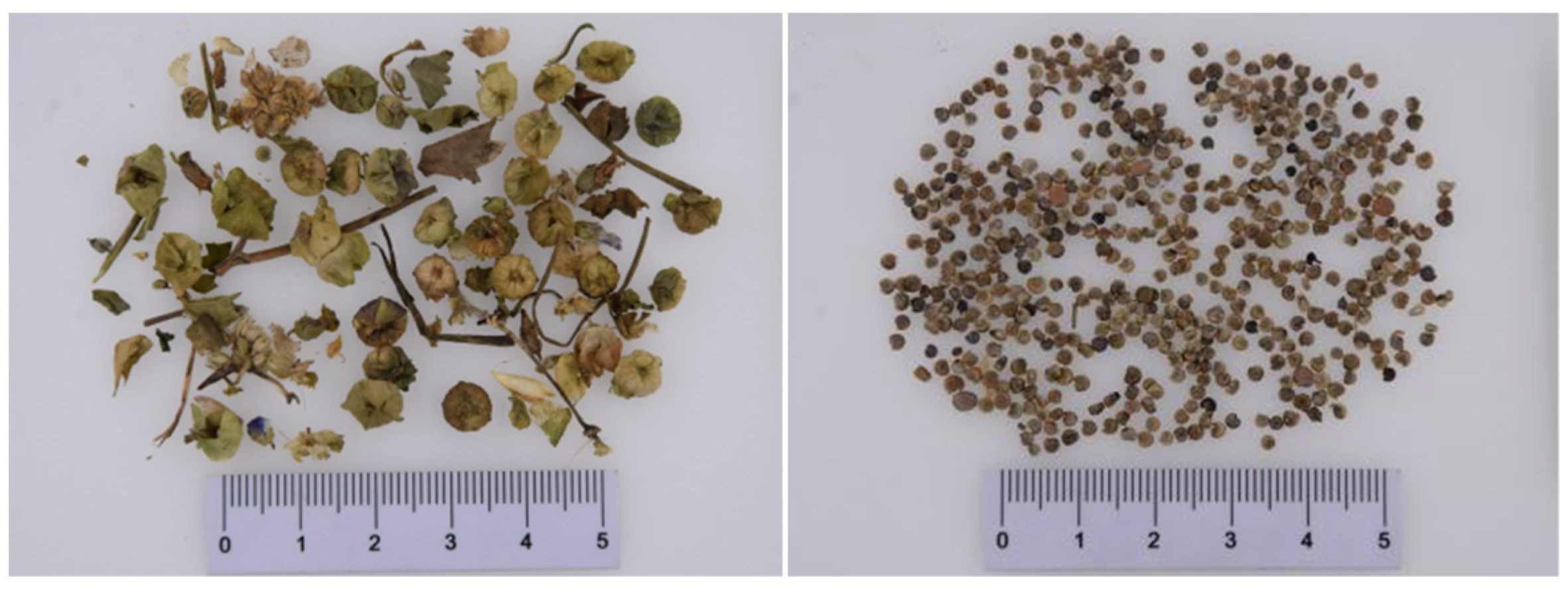 Molecules 27 05678 g001