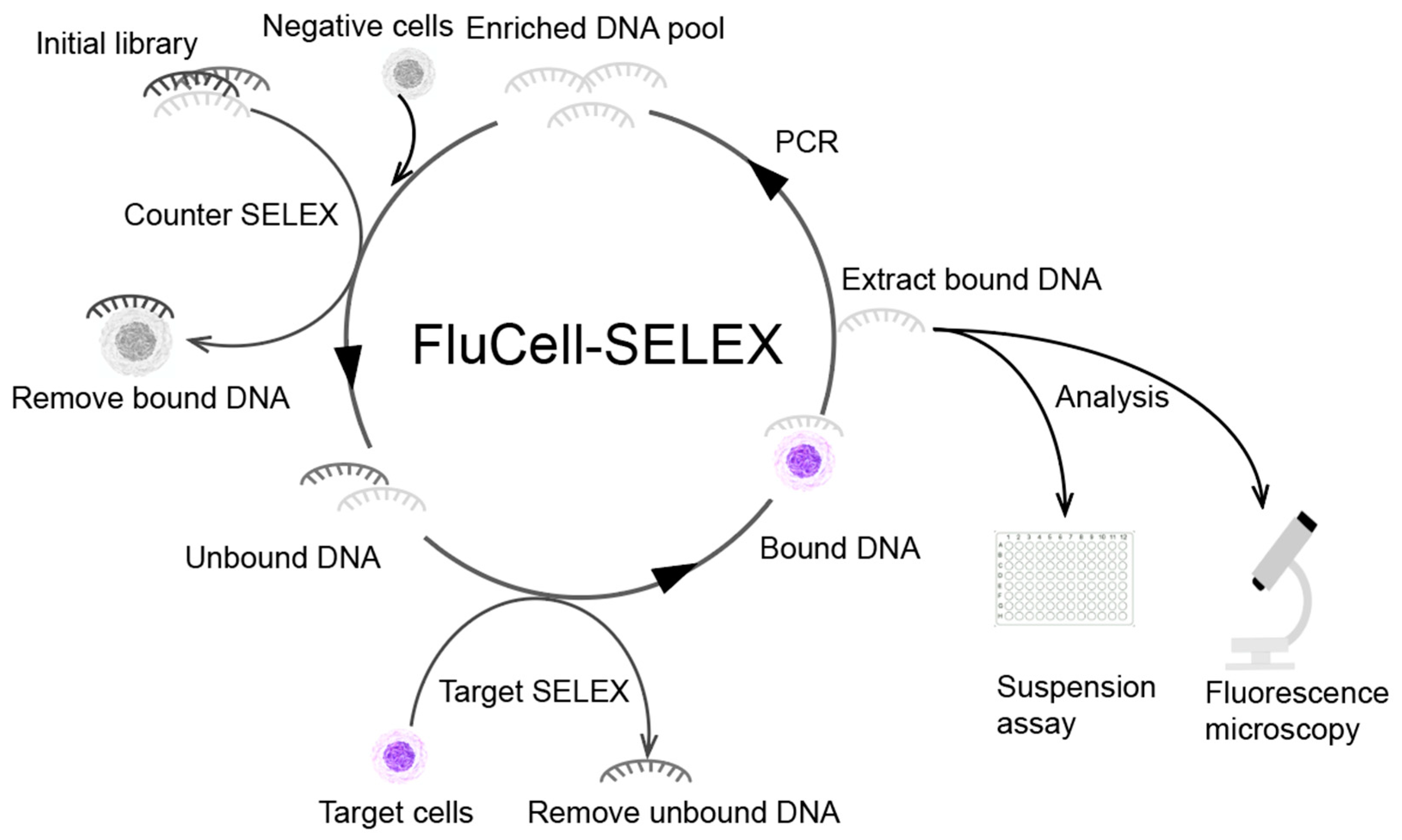 Molecules 27 05693 g001 Molecules 27 05693 g001