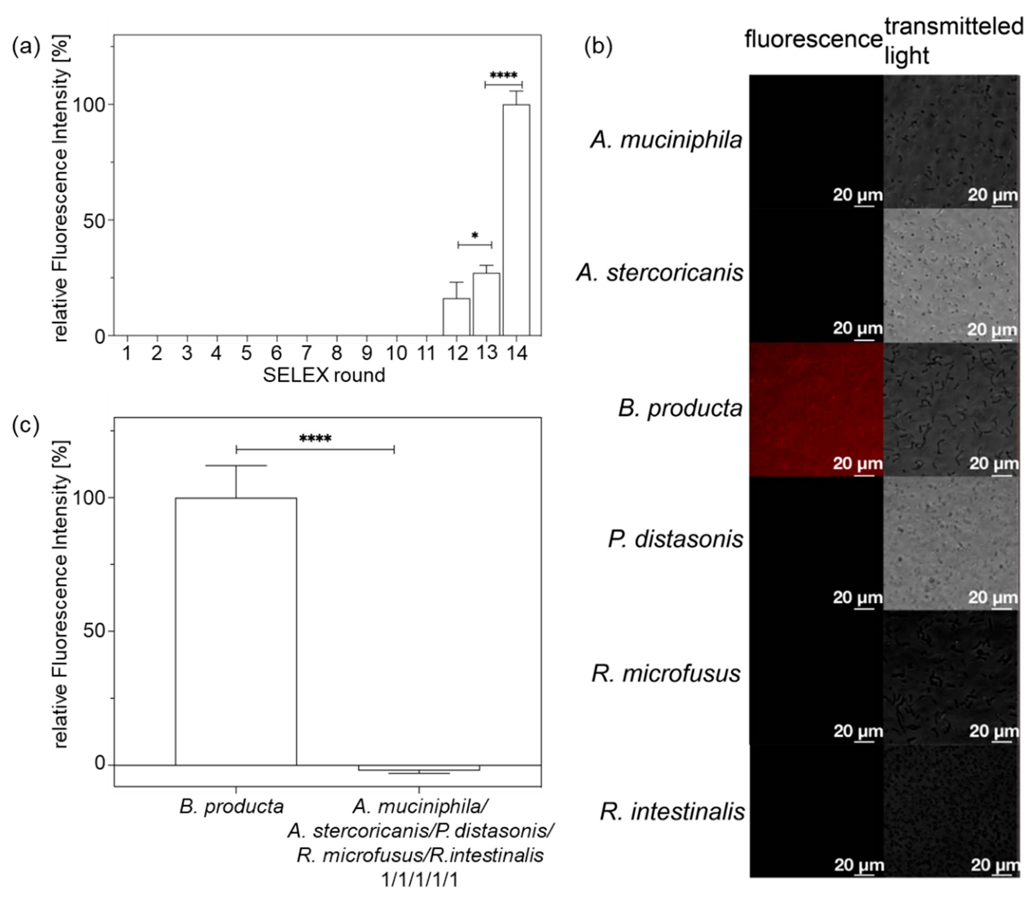 Molecules 27 05693 g002 Molecules 27 05693 g002