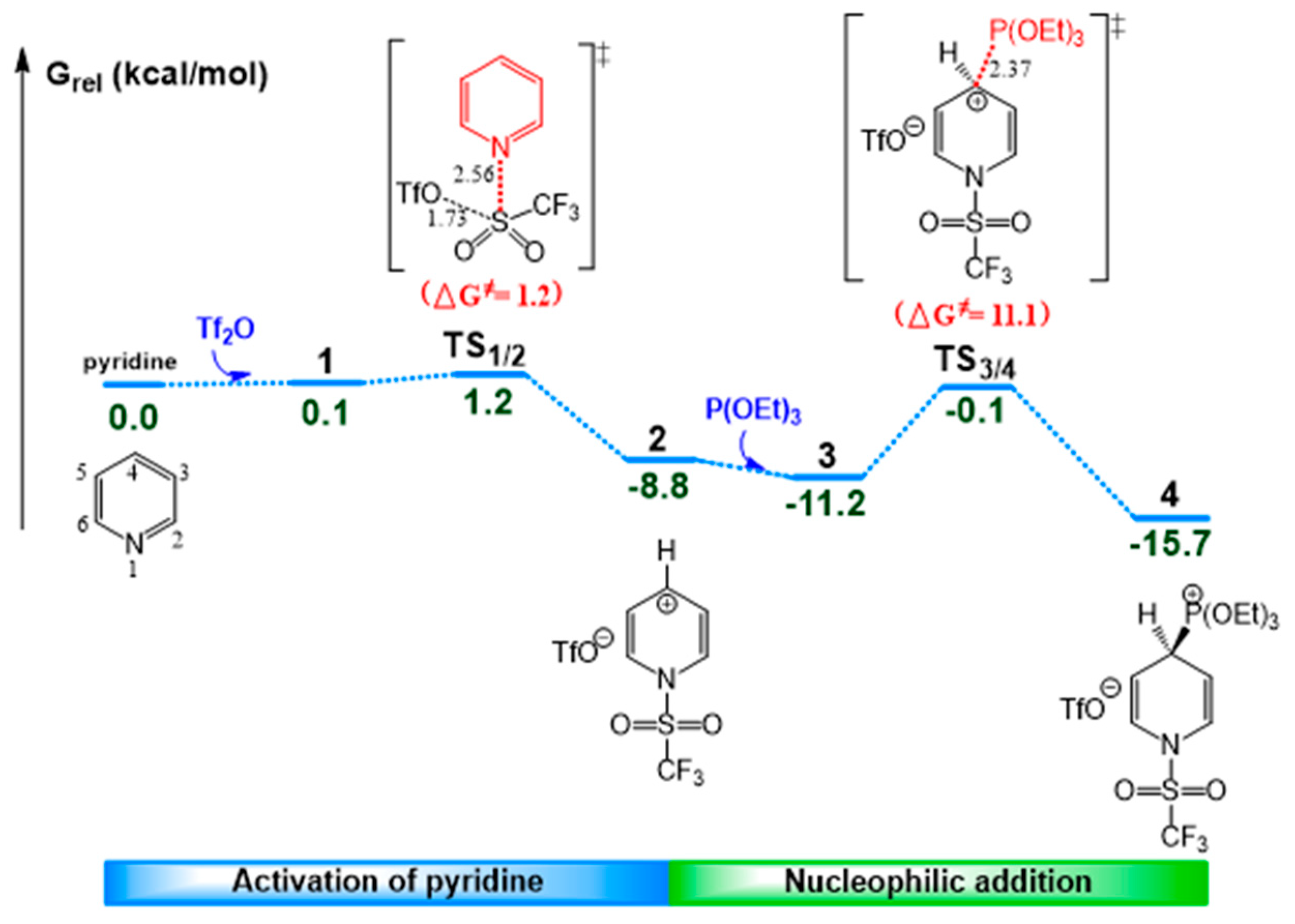 Molecules 27 05694 g001