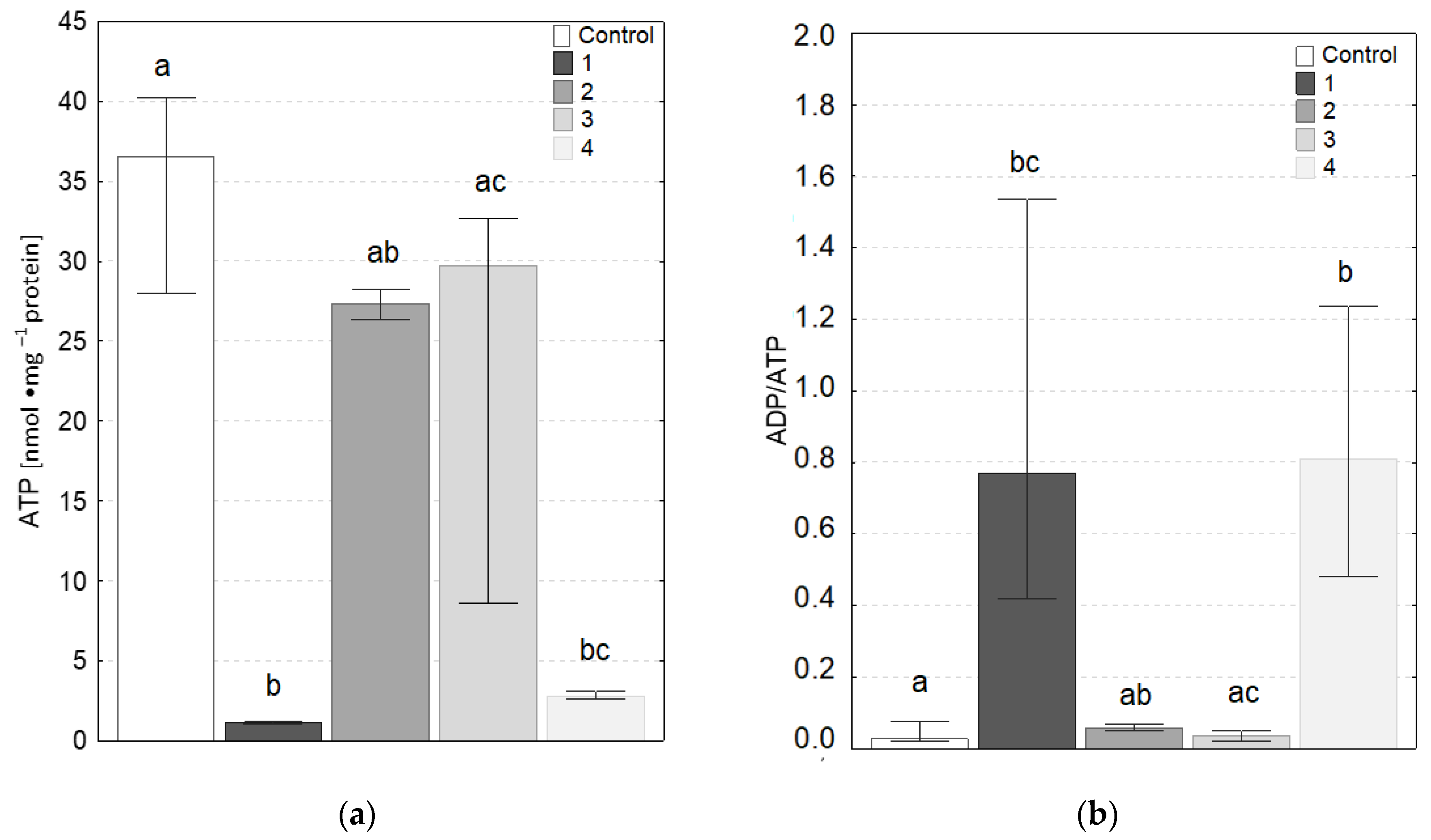 Molecules 27 05696 g007 Molecules 27 05696 g007