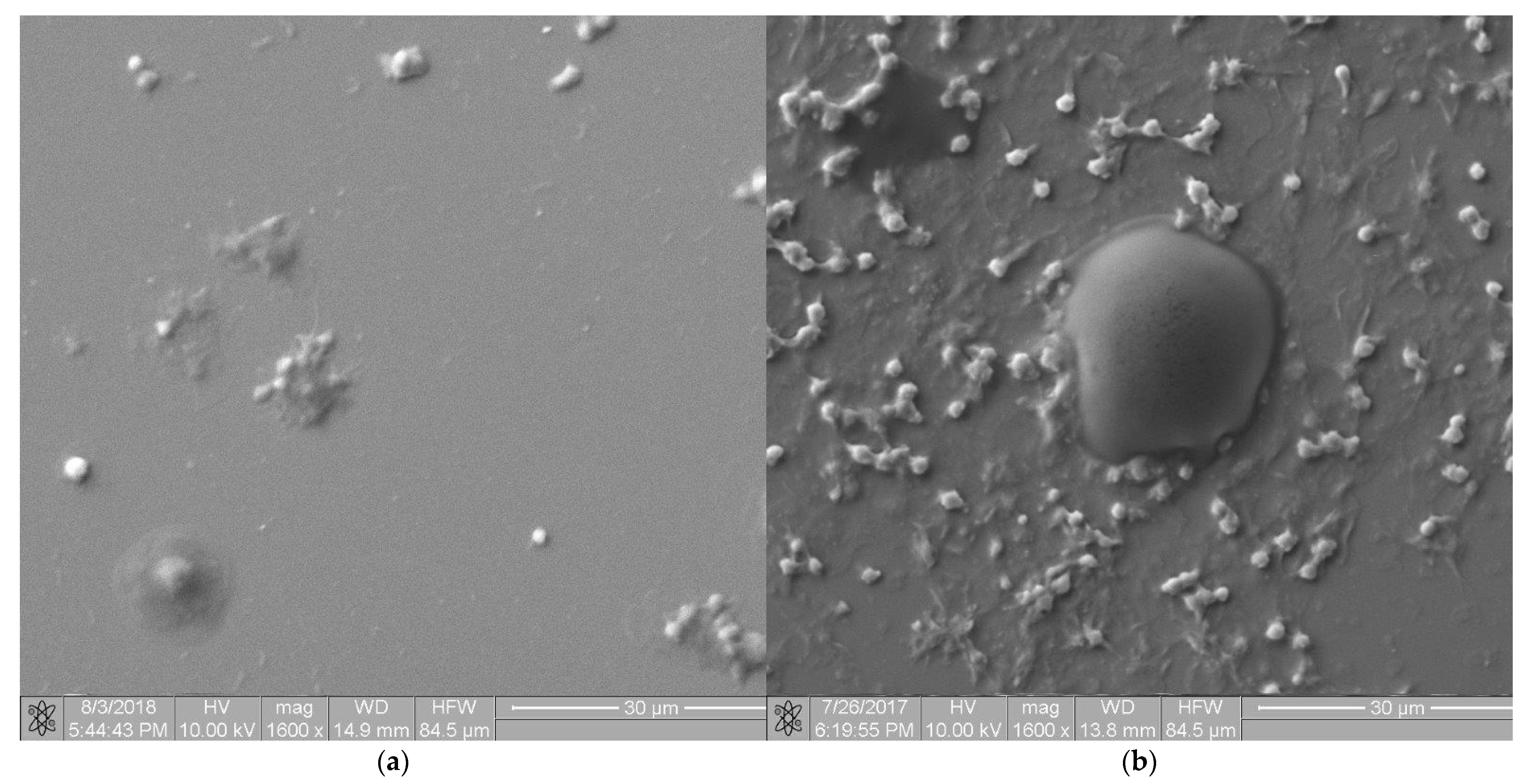Molecules 27 05696 g009 Molecules 27 05696 g009