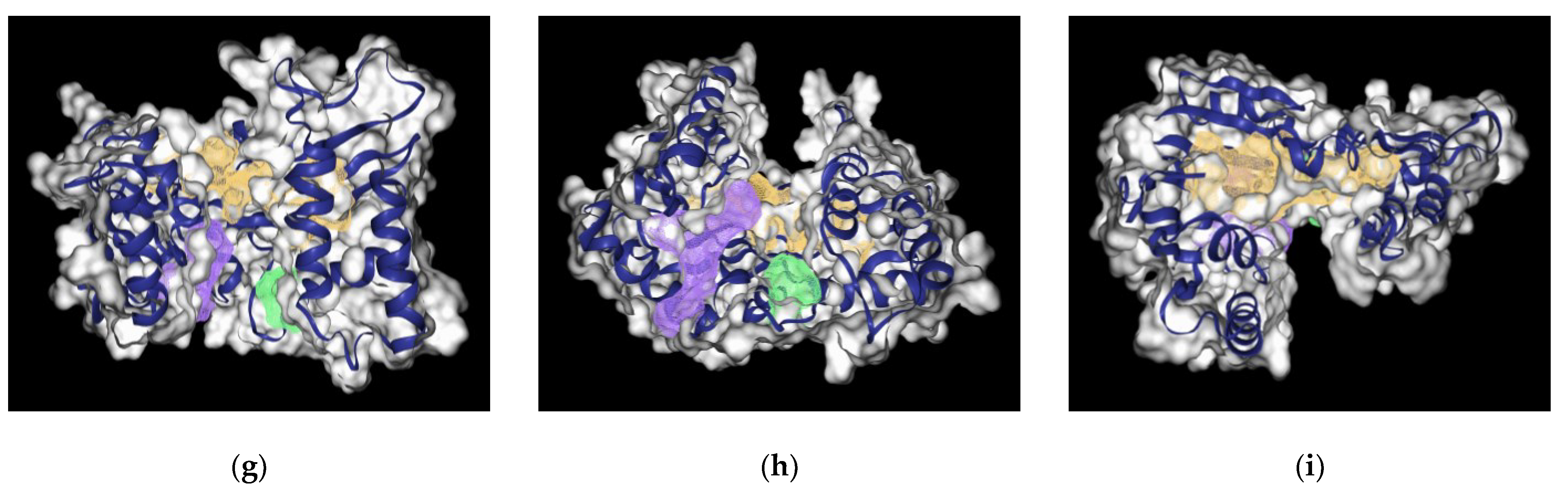 Molecules 27 05727 g004b Molecules 27 05727 g004b