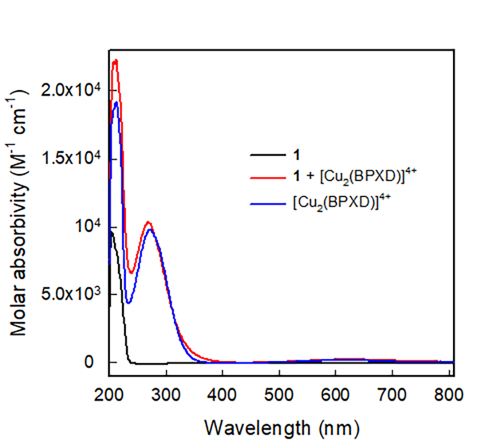 Molecules 27 05731 g003