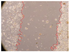 Molecules 27 05760 i010