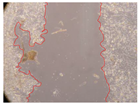 Molecules 27 05760 i034