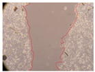 Molecules 27 05760 i038