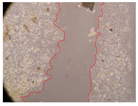 Molecules 27 05760 i043