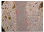 Molecules 27 05760 i048