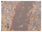 Molecules 27 05760 i050