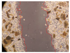 Molecules 27 05760 i067