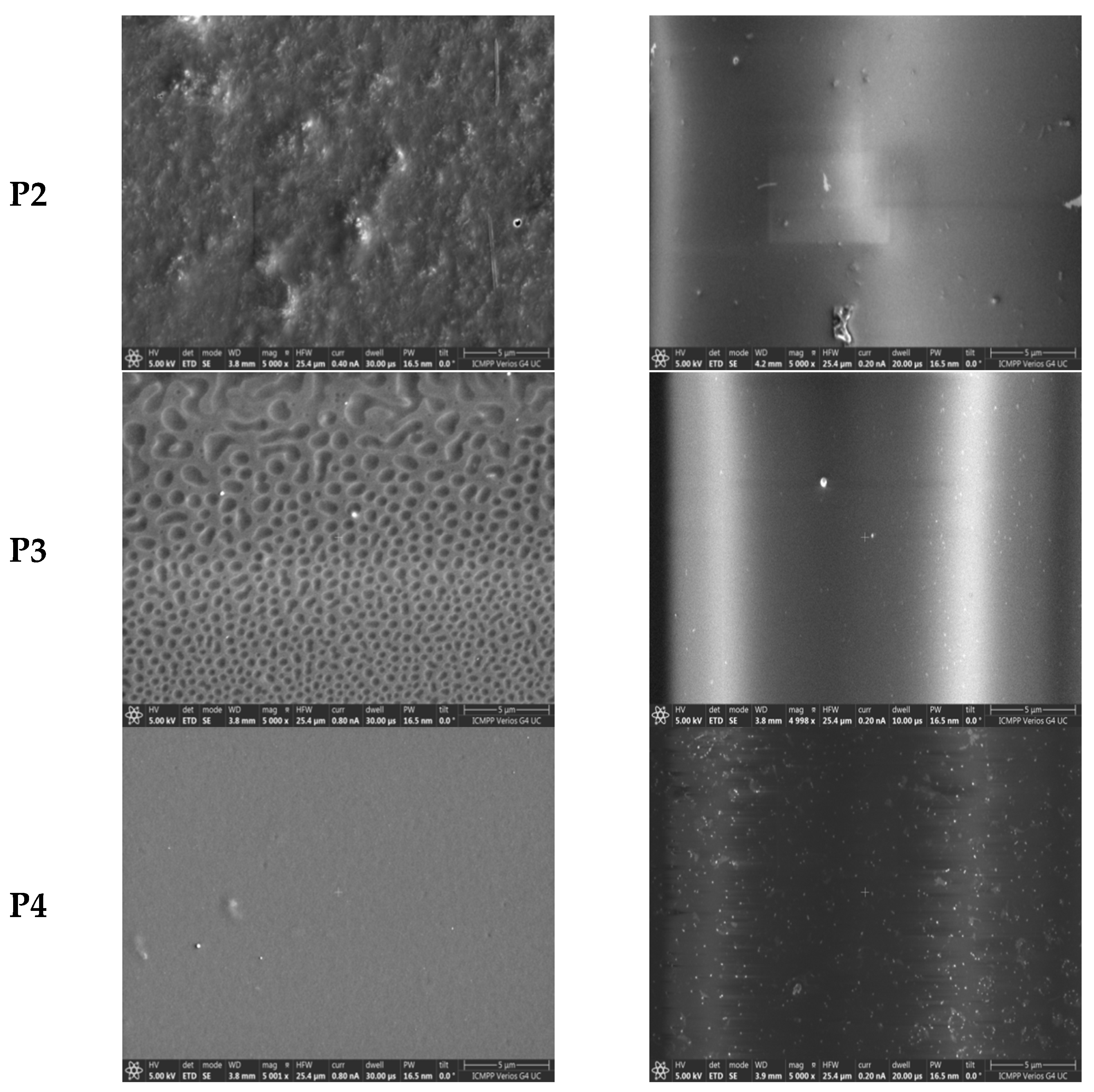 Molecules 27 05761 g002b