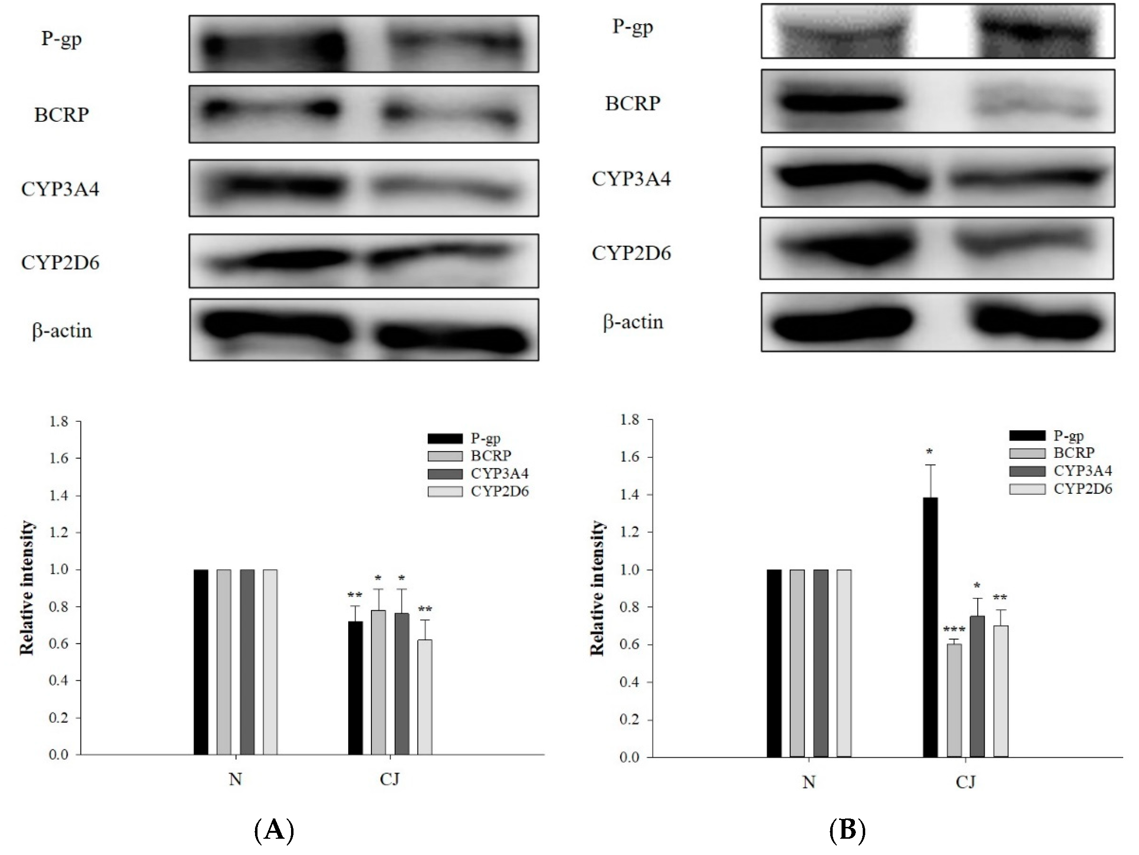 Molecules 27 05772 g005