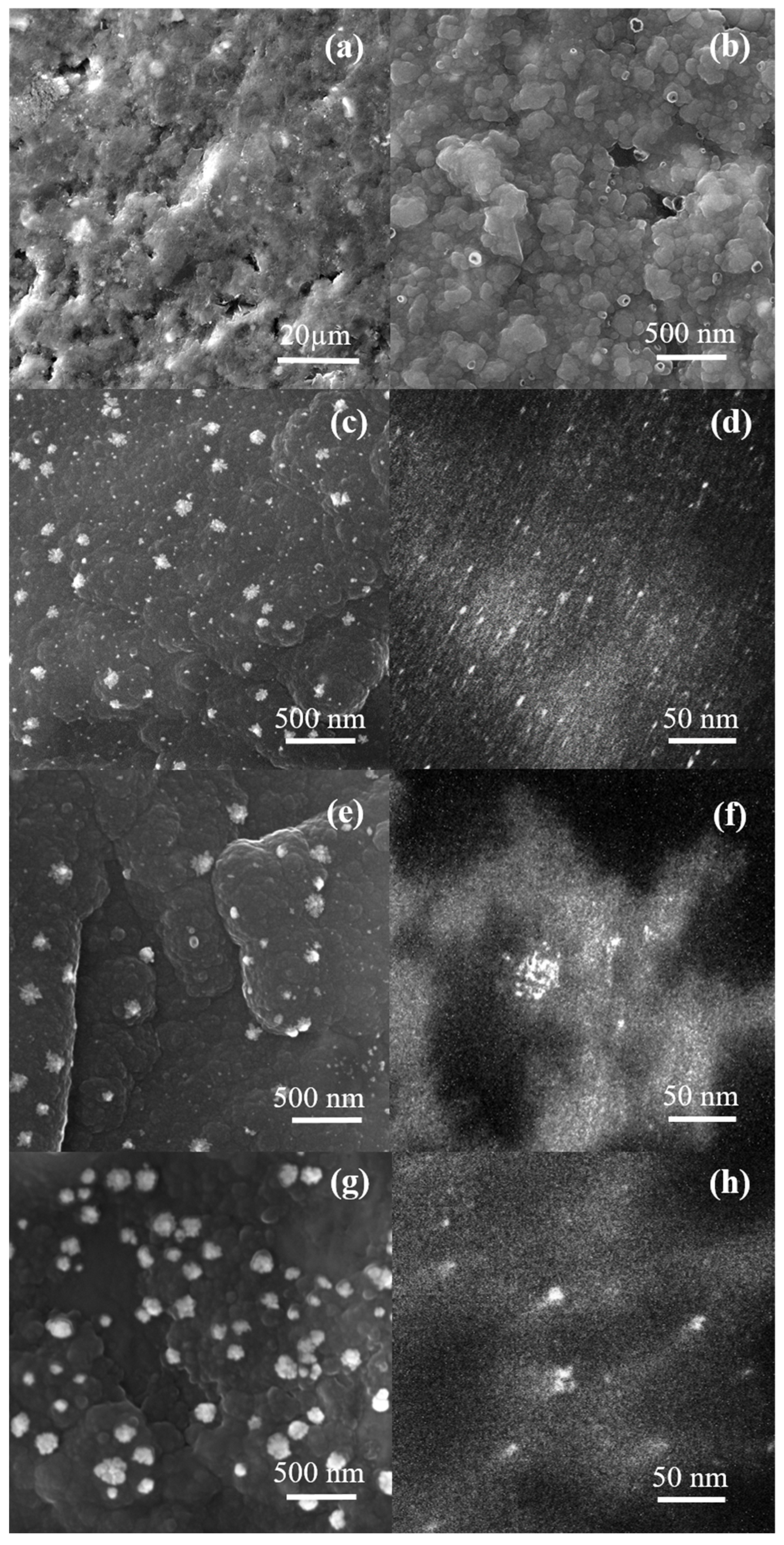 Molecules 27 05776 g001