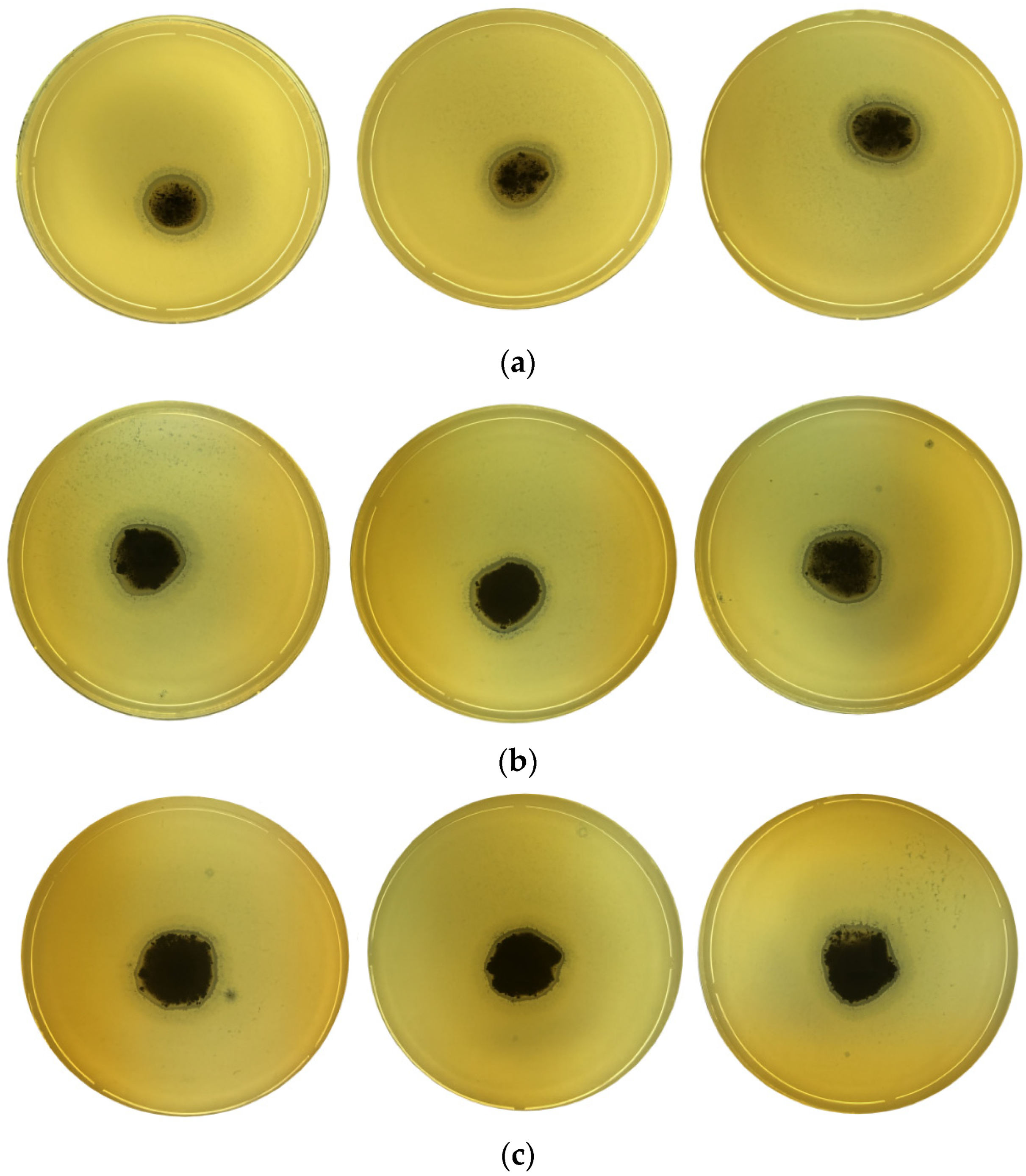 Molecules 27 05791 g010