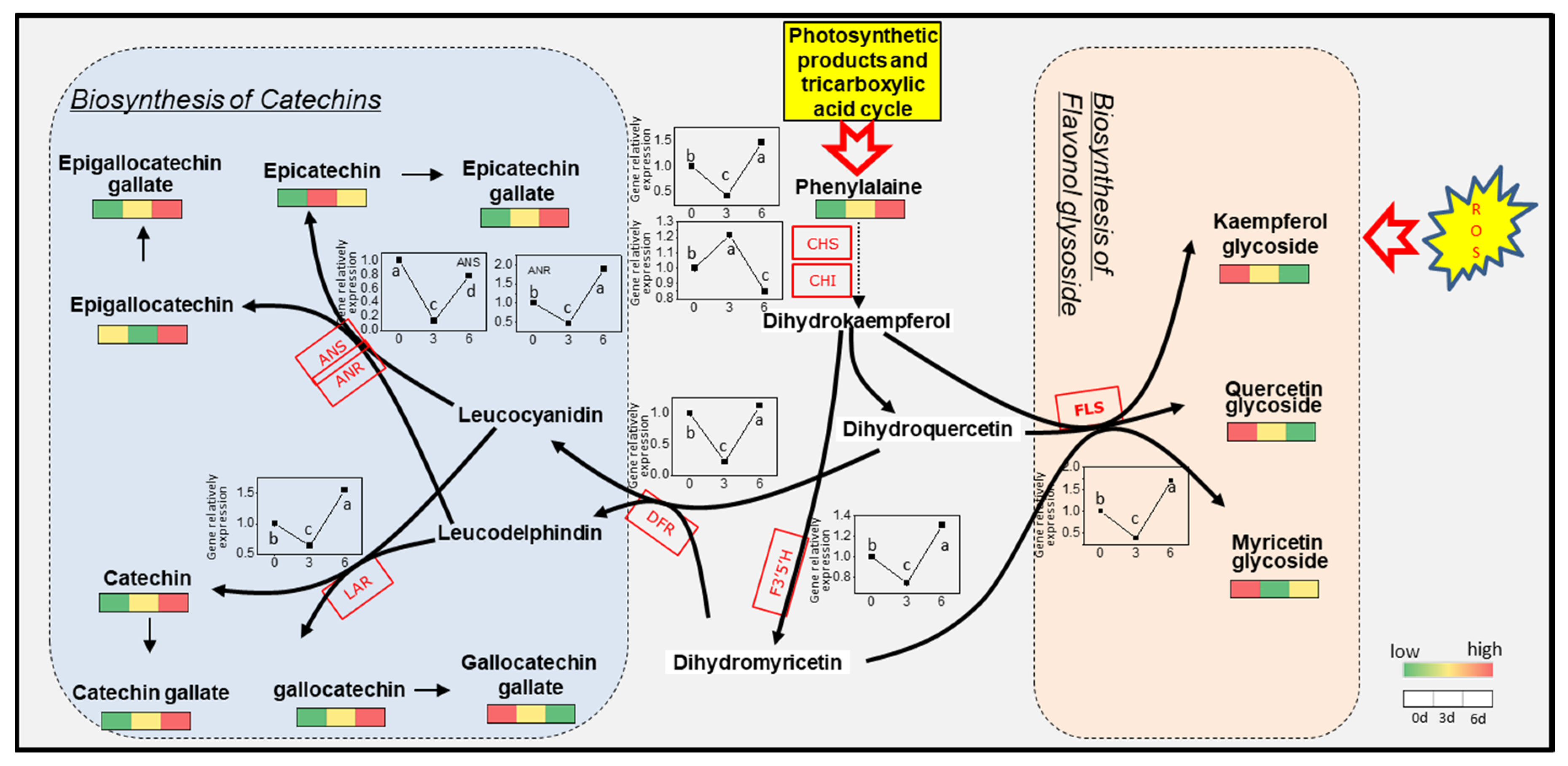 Molecules 27 05792 g006